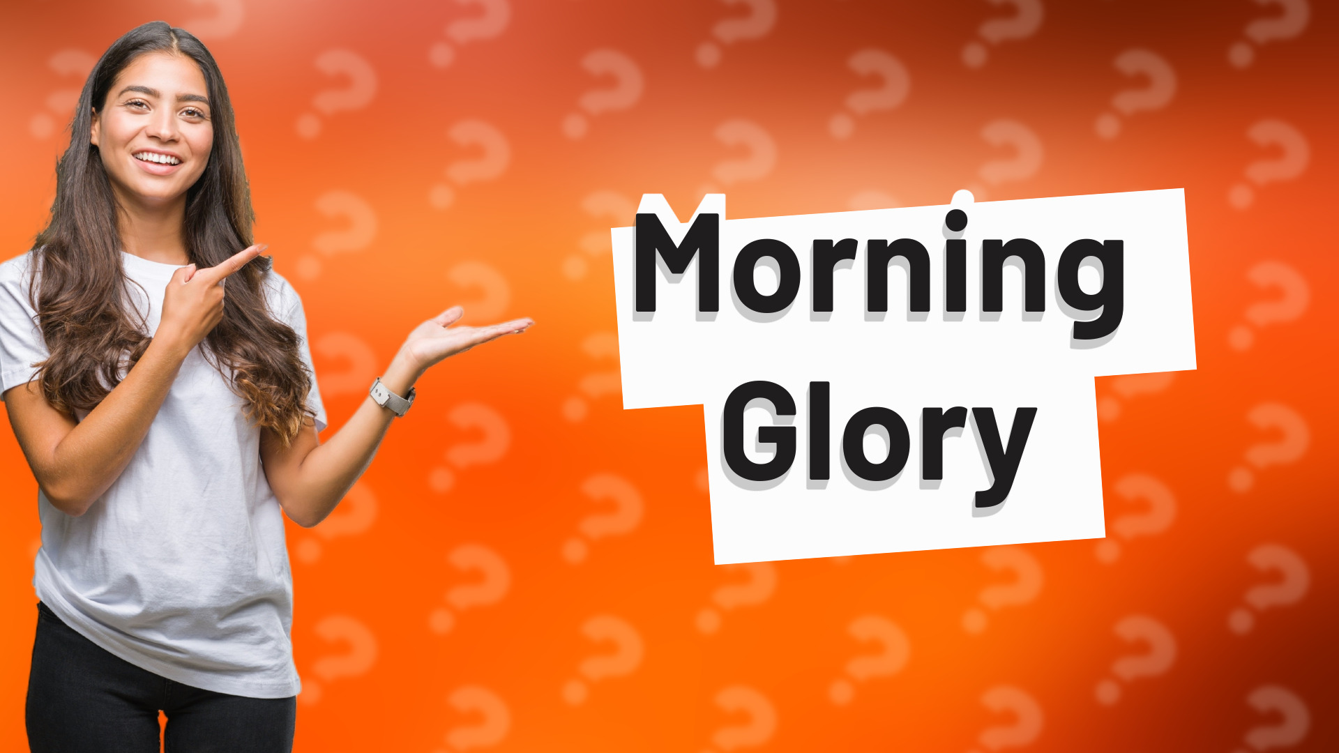 Morning Glory