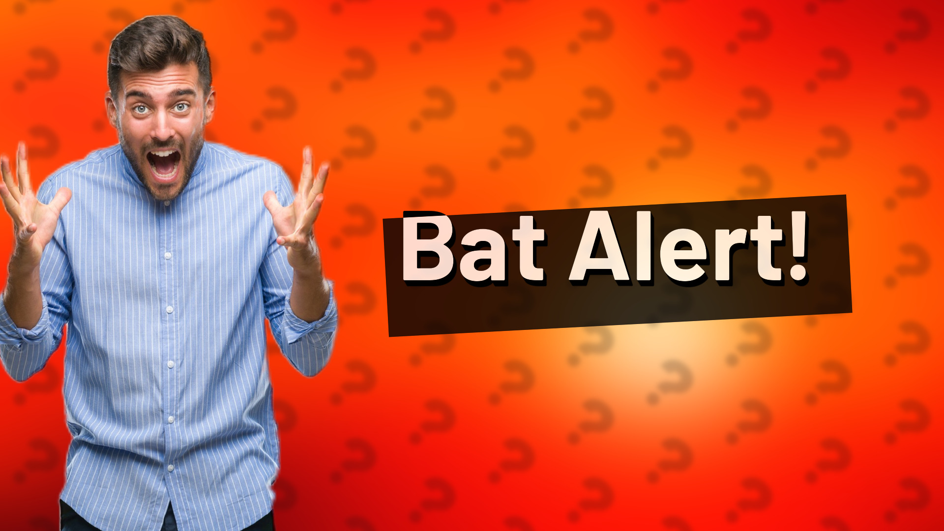 Bat Alert!