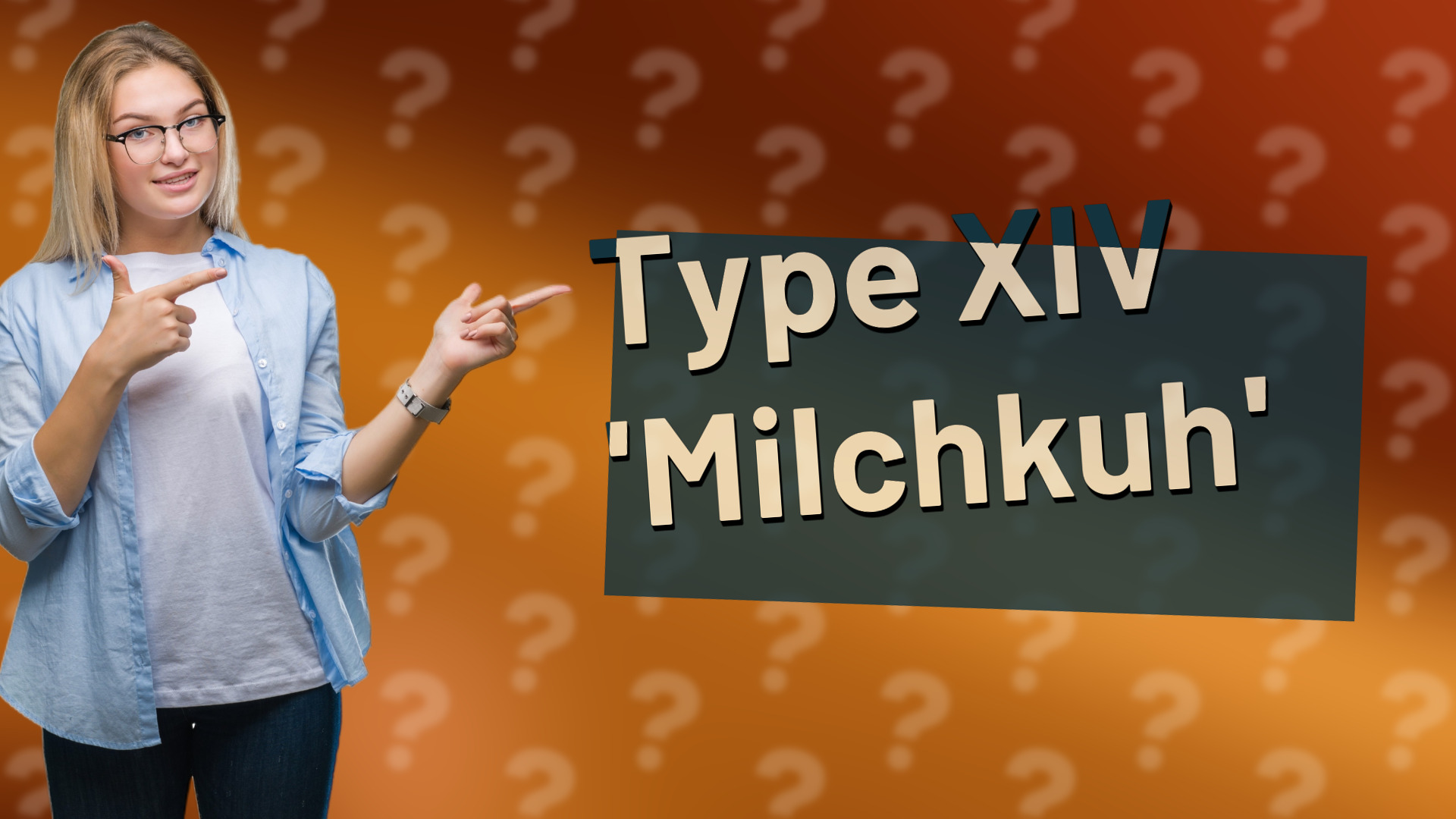 Type XIV 'Milchkuh'