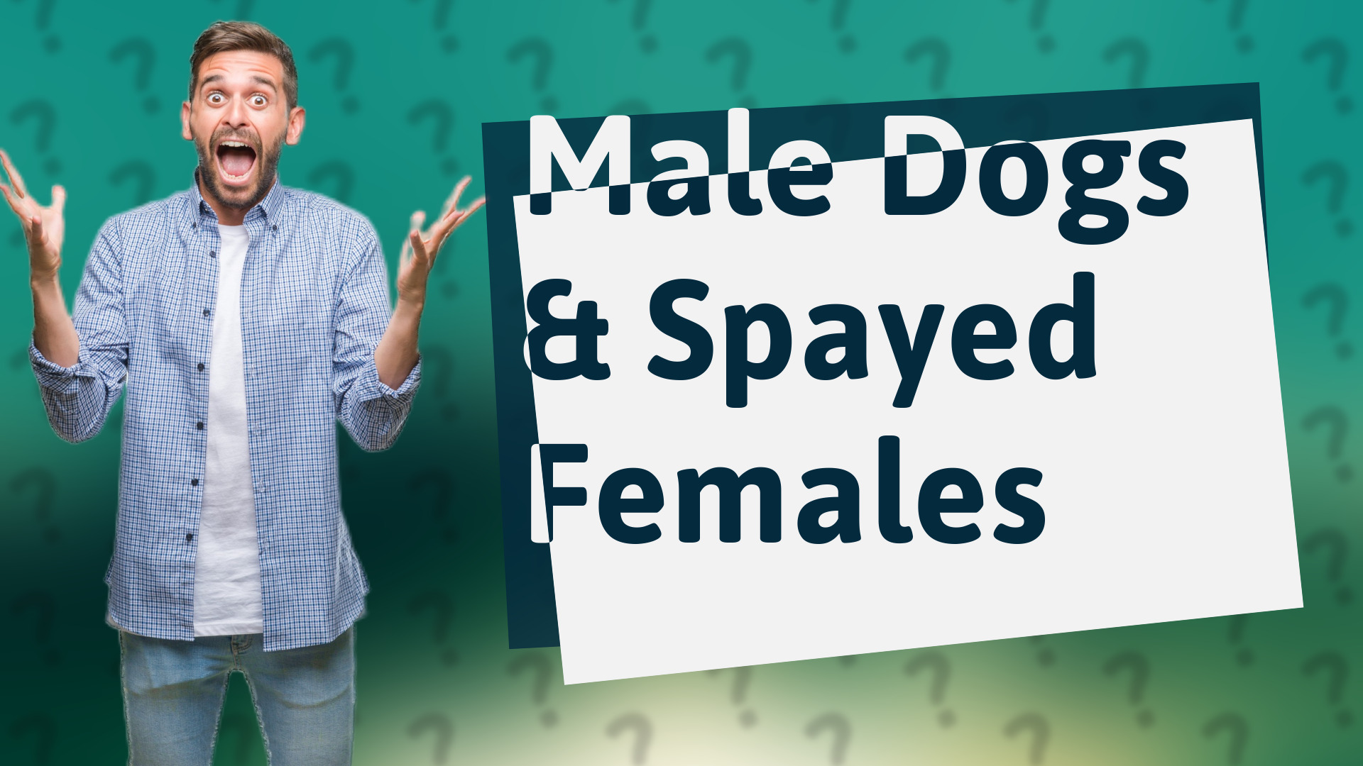 Male Dogs & Spayed Females