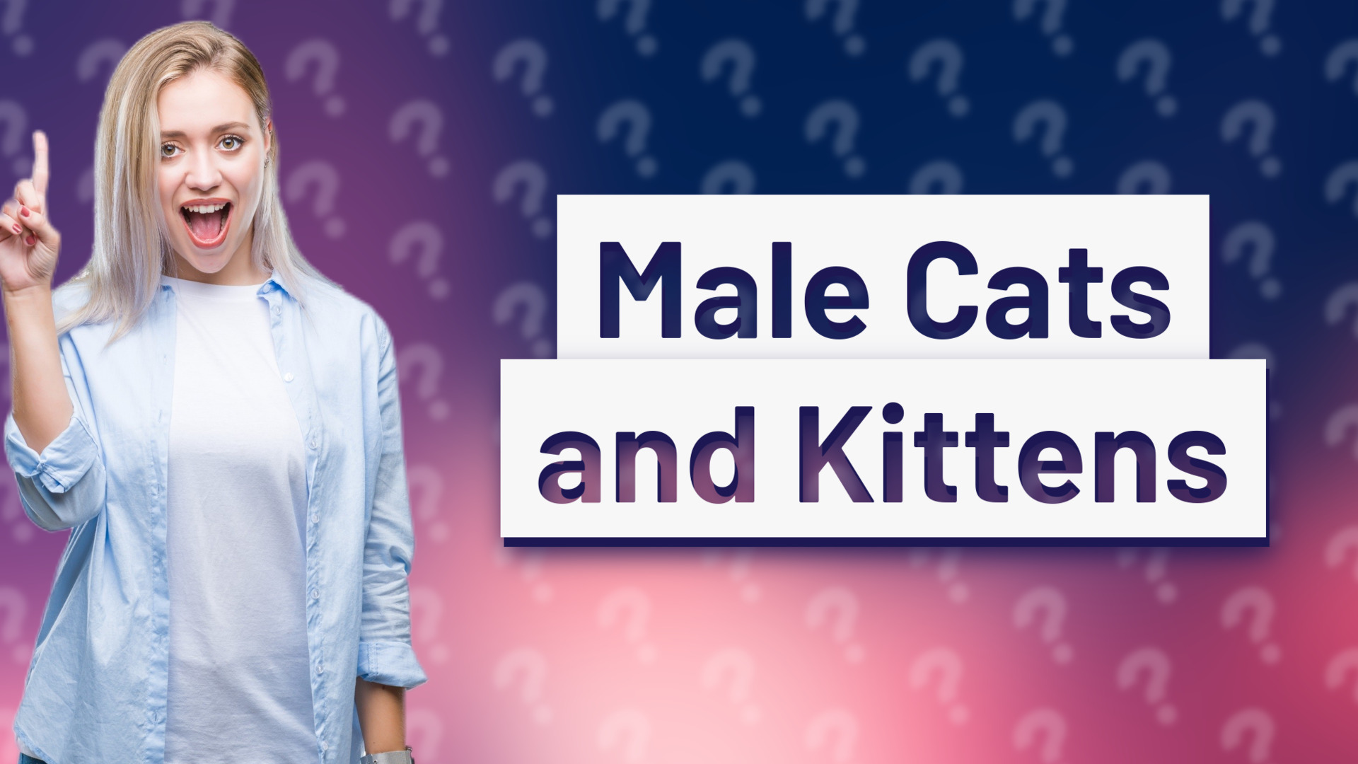 Male Cats and Kittens