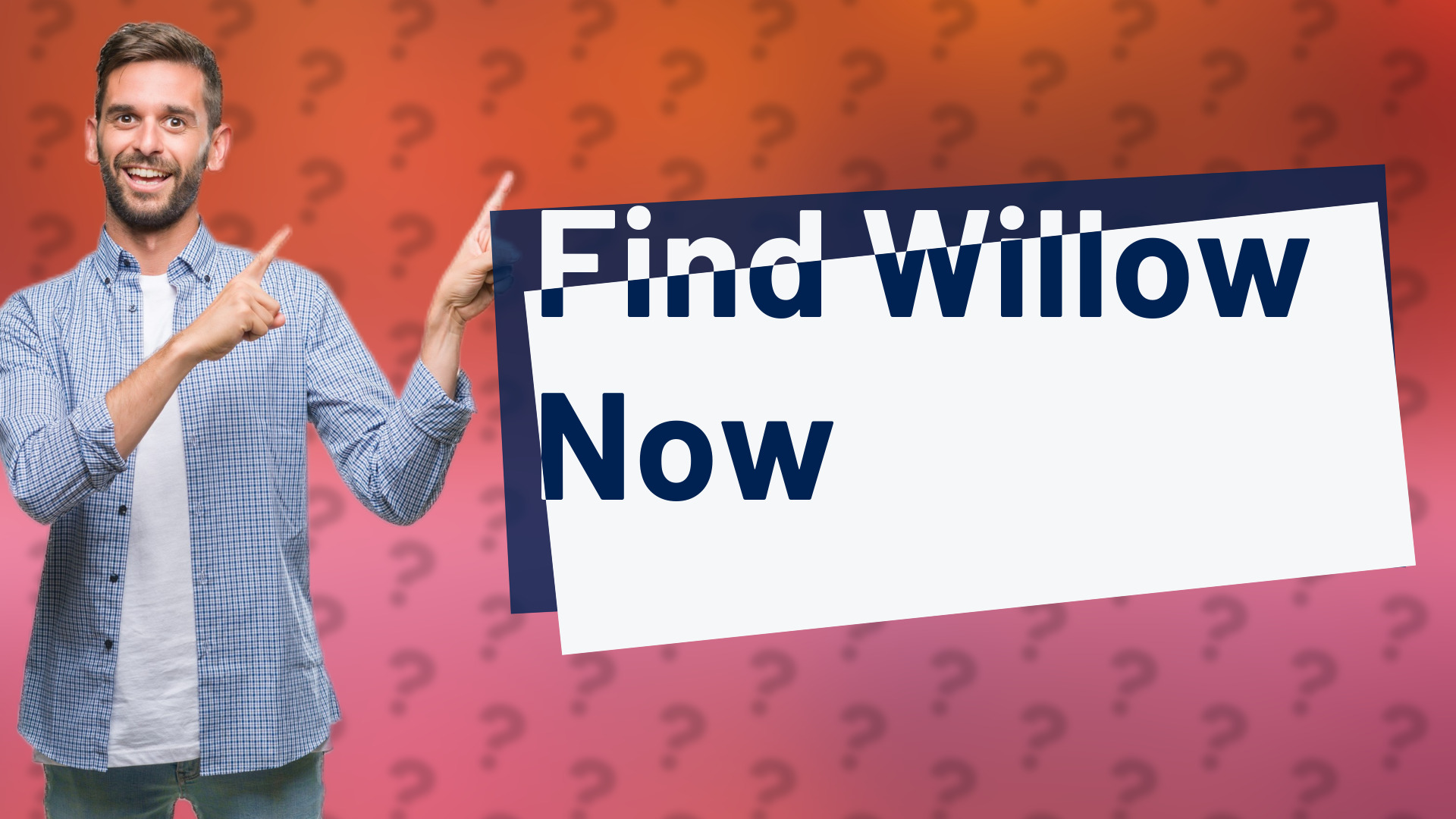 Find Willow Now