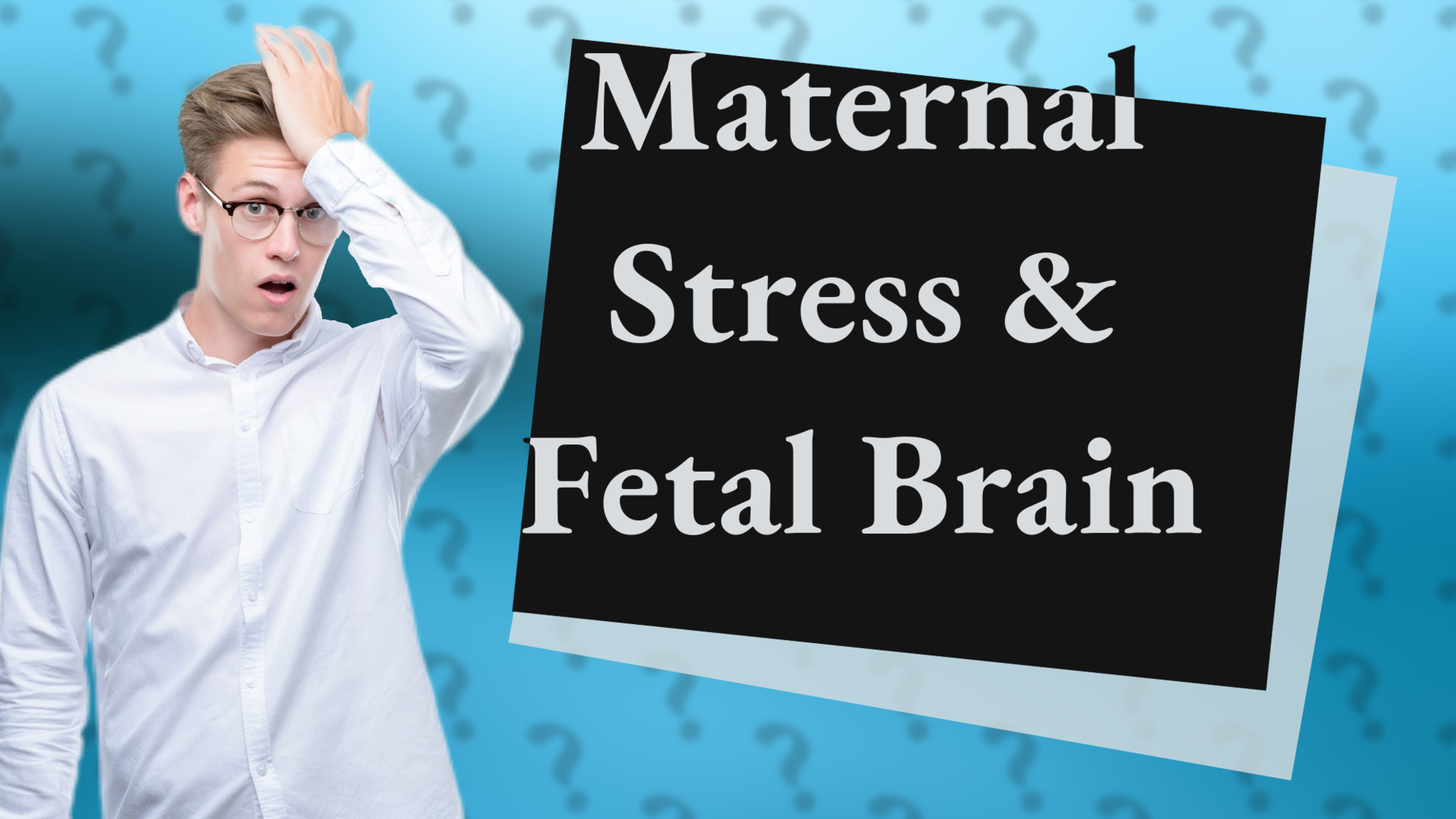 Maternal Stress & Fetal Brain
