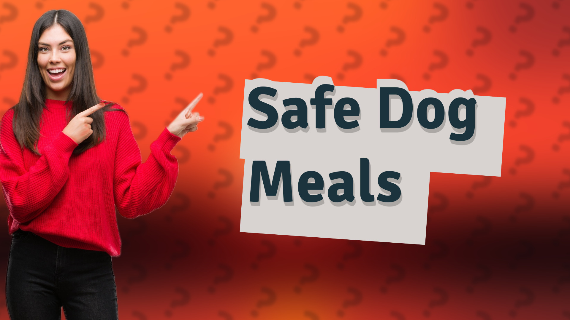 Safe Dog Meals