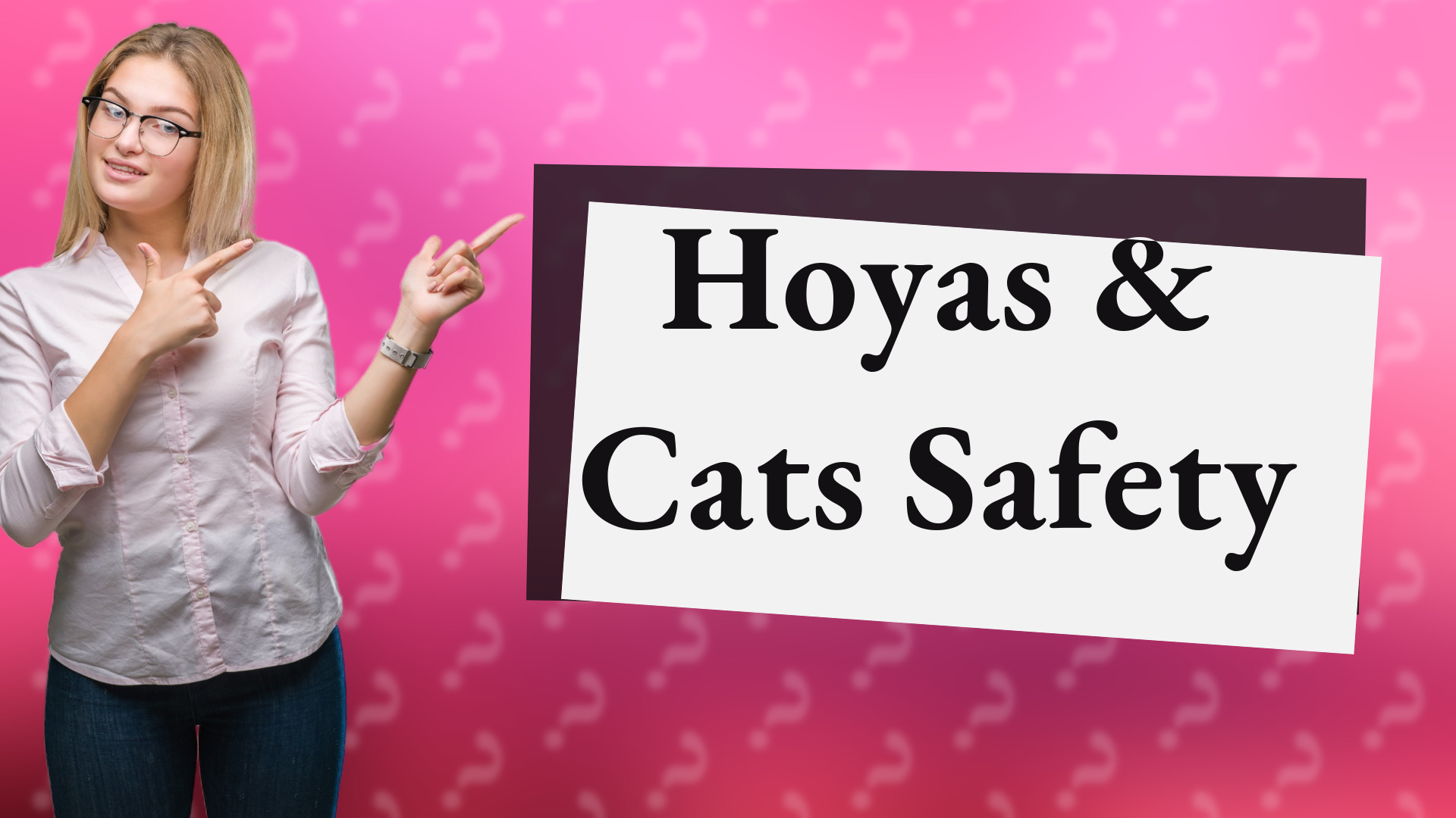 Hoyas & Cats Safety