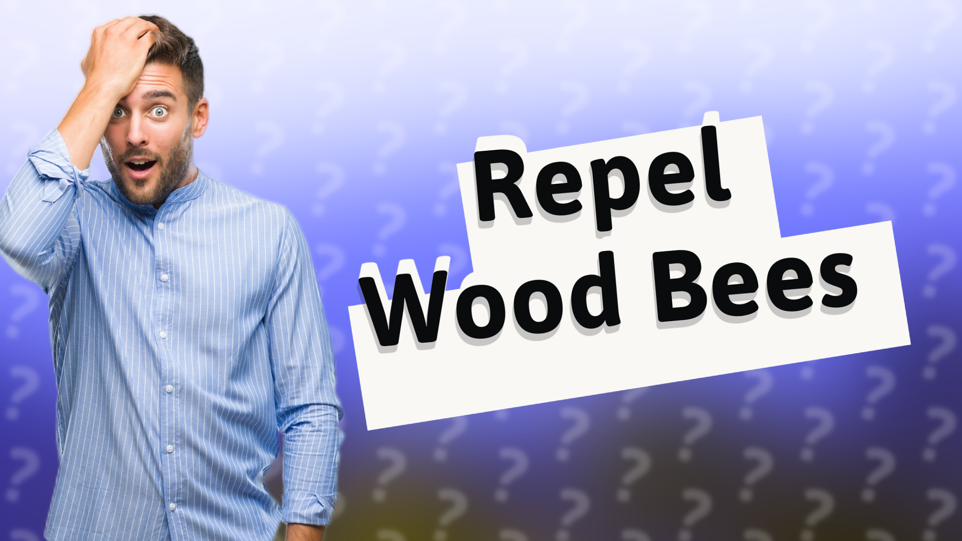 Repel Wood Bees