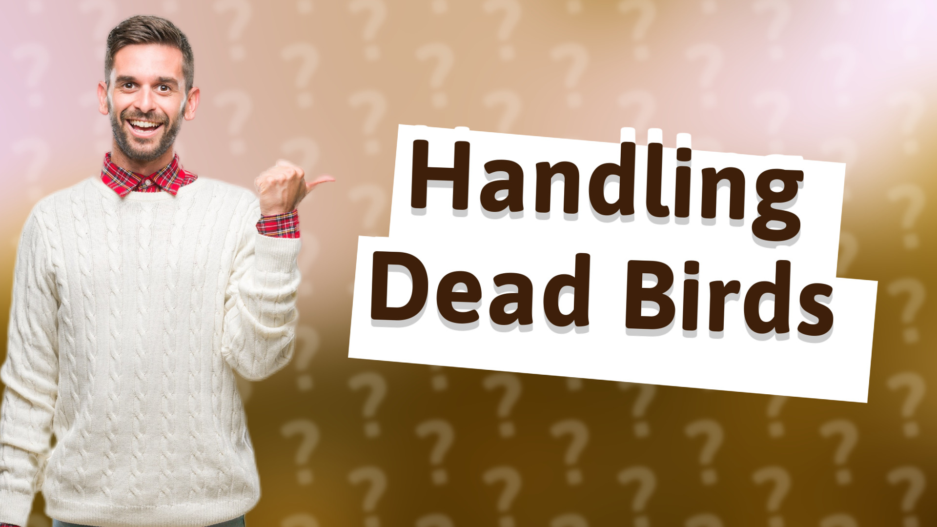 Handling Dead Birds