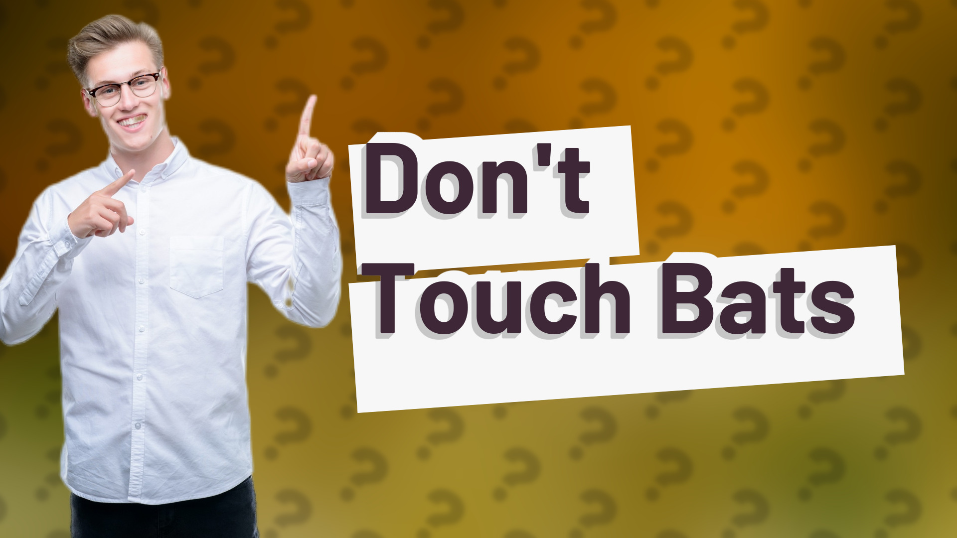 Don't Touch Bats