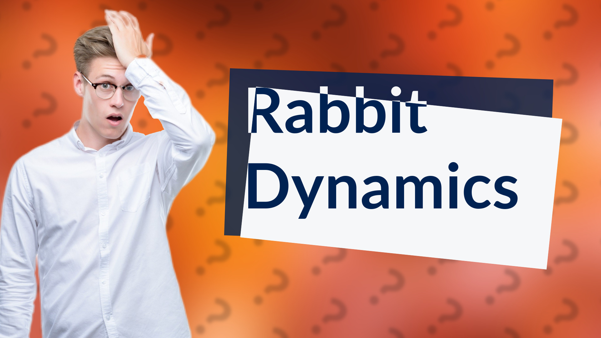 Rabbit Dynamics