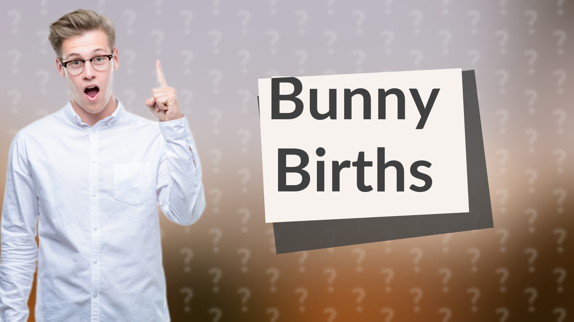 Bunny Births