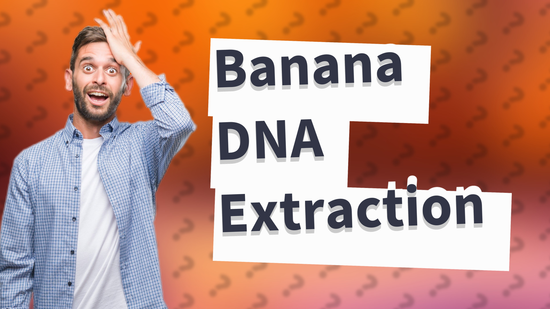 Banana DNA Extraction