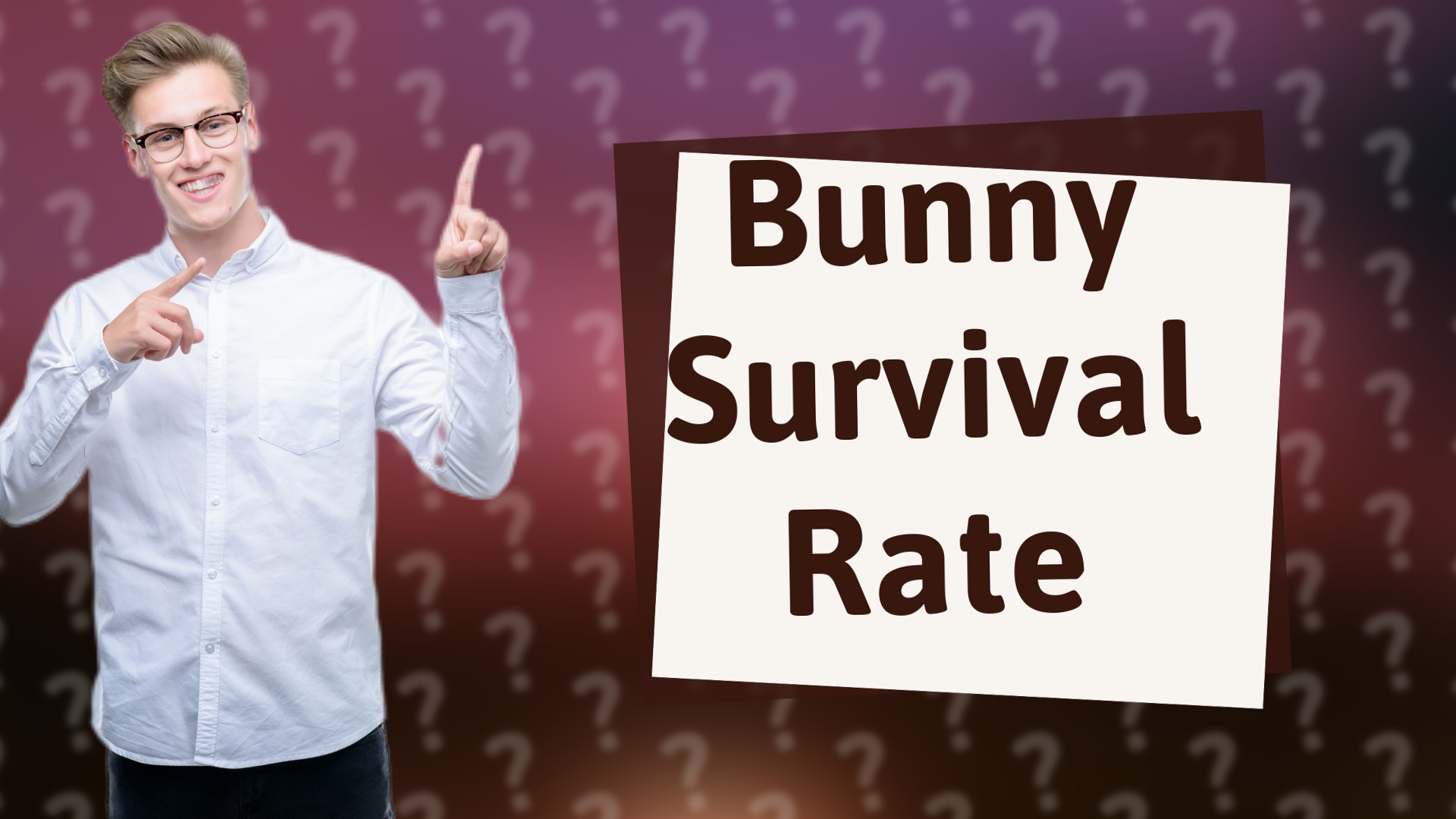 Bunny Survival Rate
