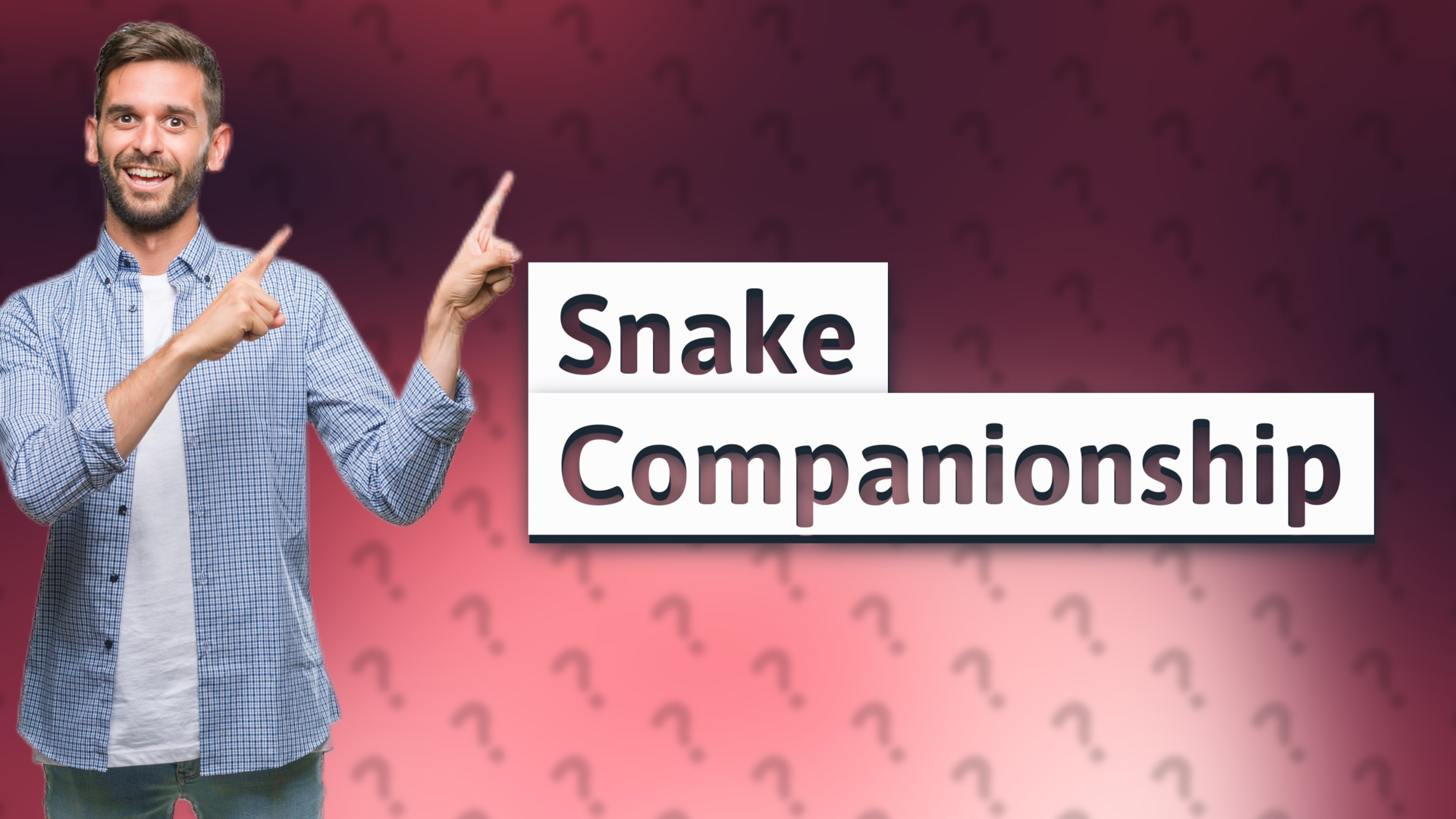 Snake Companionship