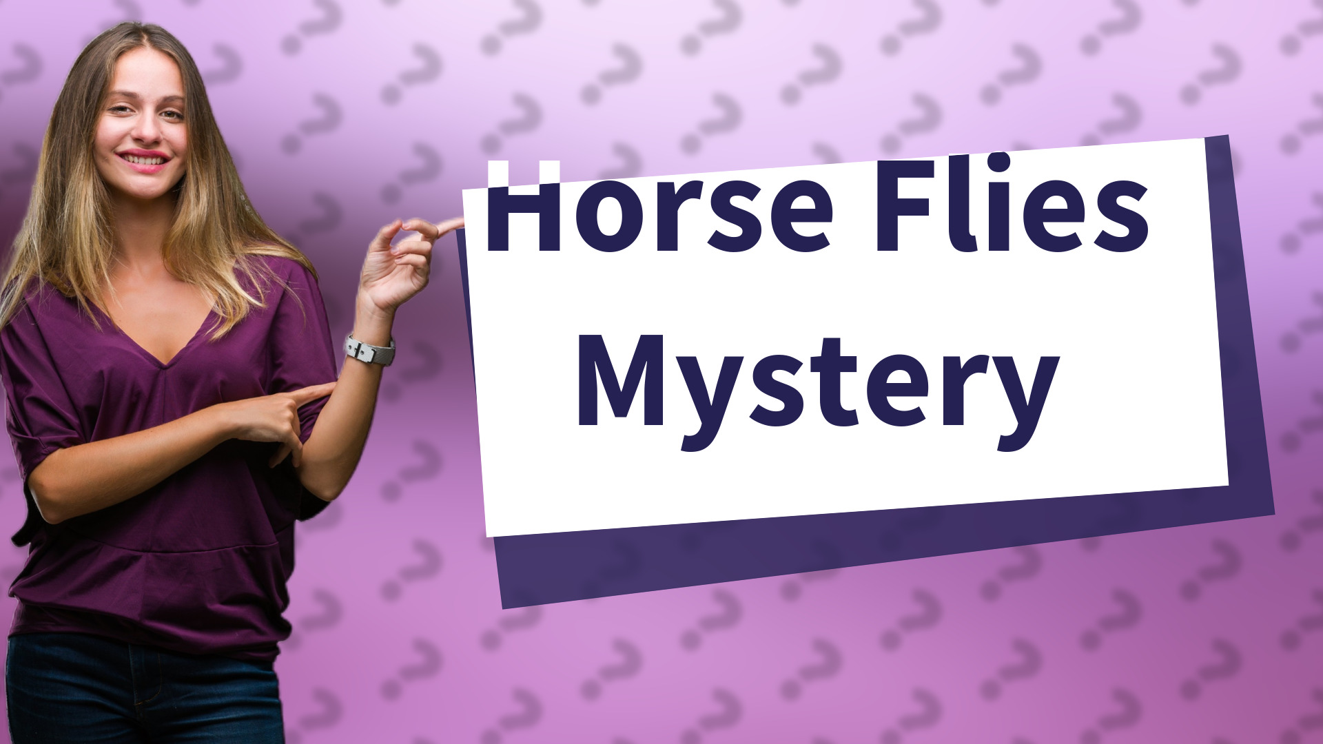 Horse Flies Mystery