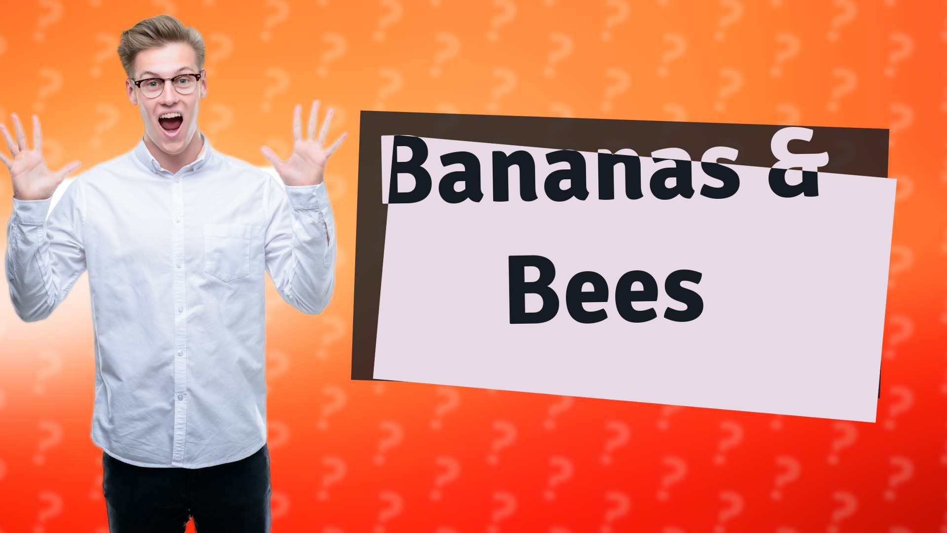 Bananas & Bees