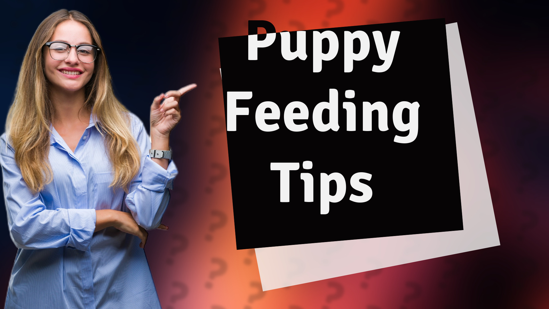 Puppy Feeding Tips