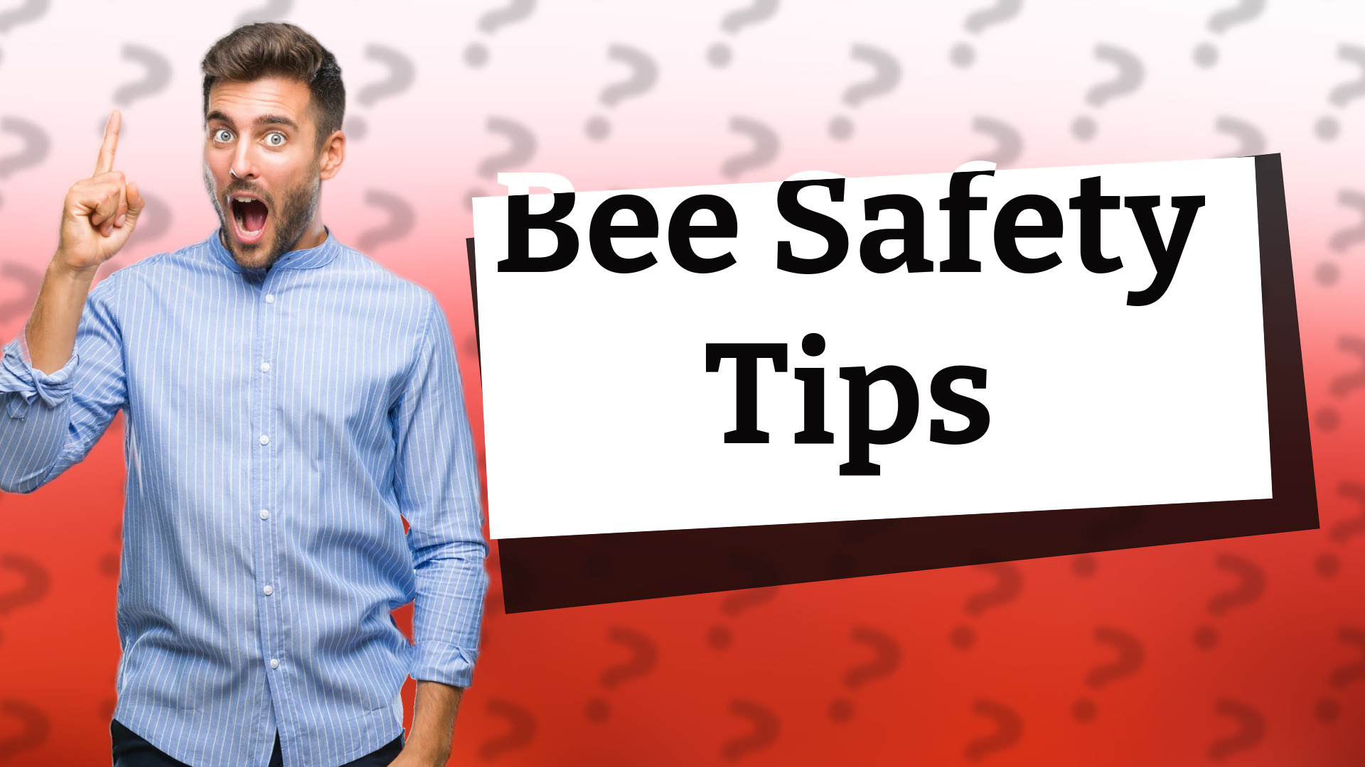 Bee Safety Tips