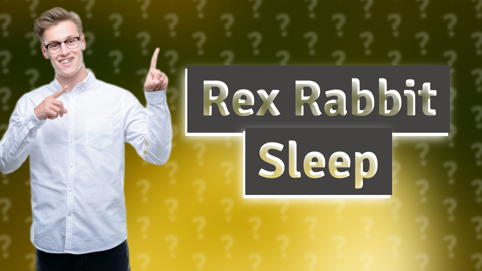Rex Rabbit Sleep