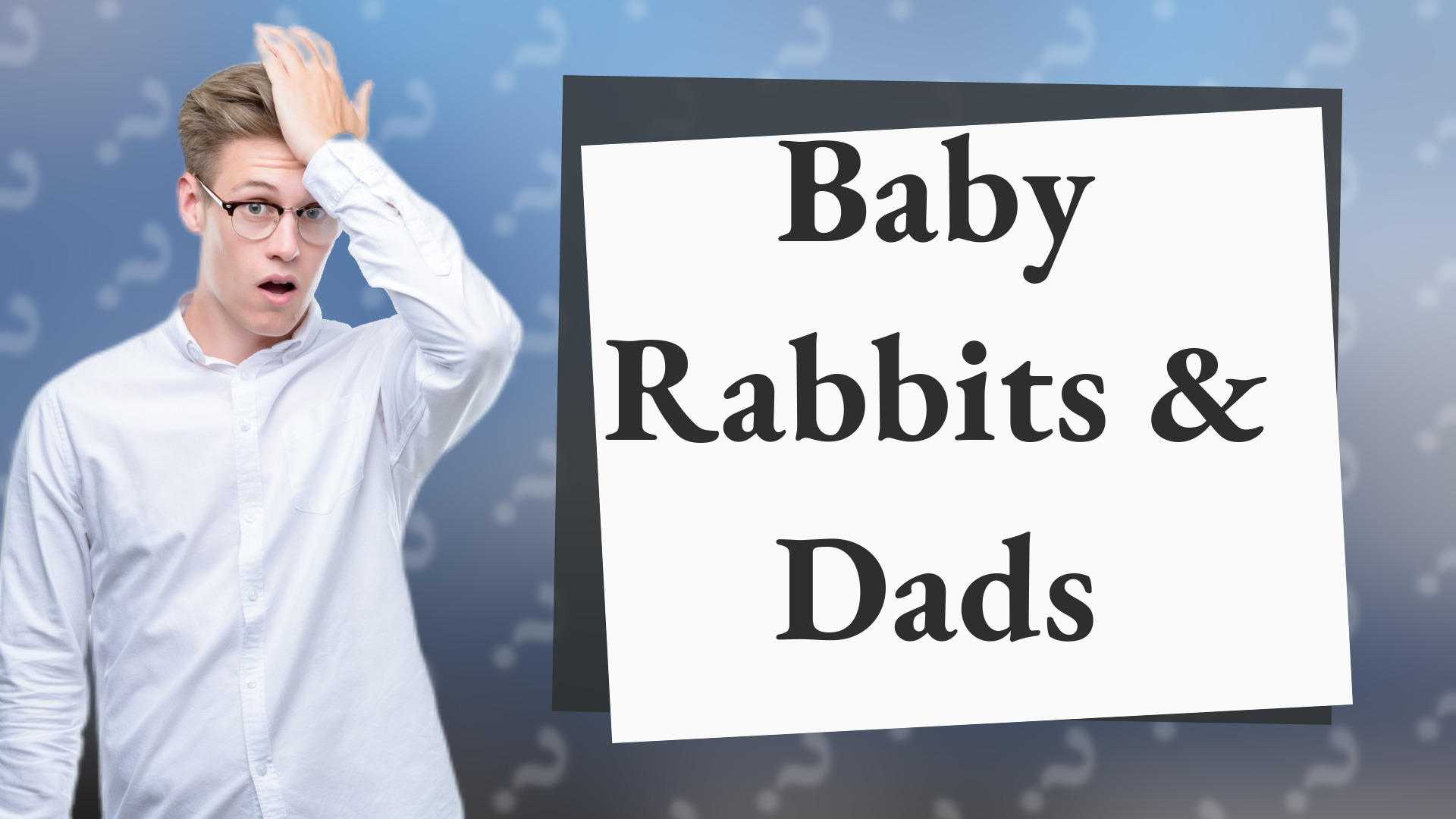 Baby Rabbits & Dads