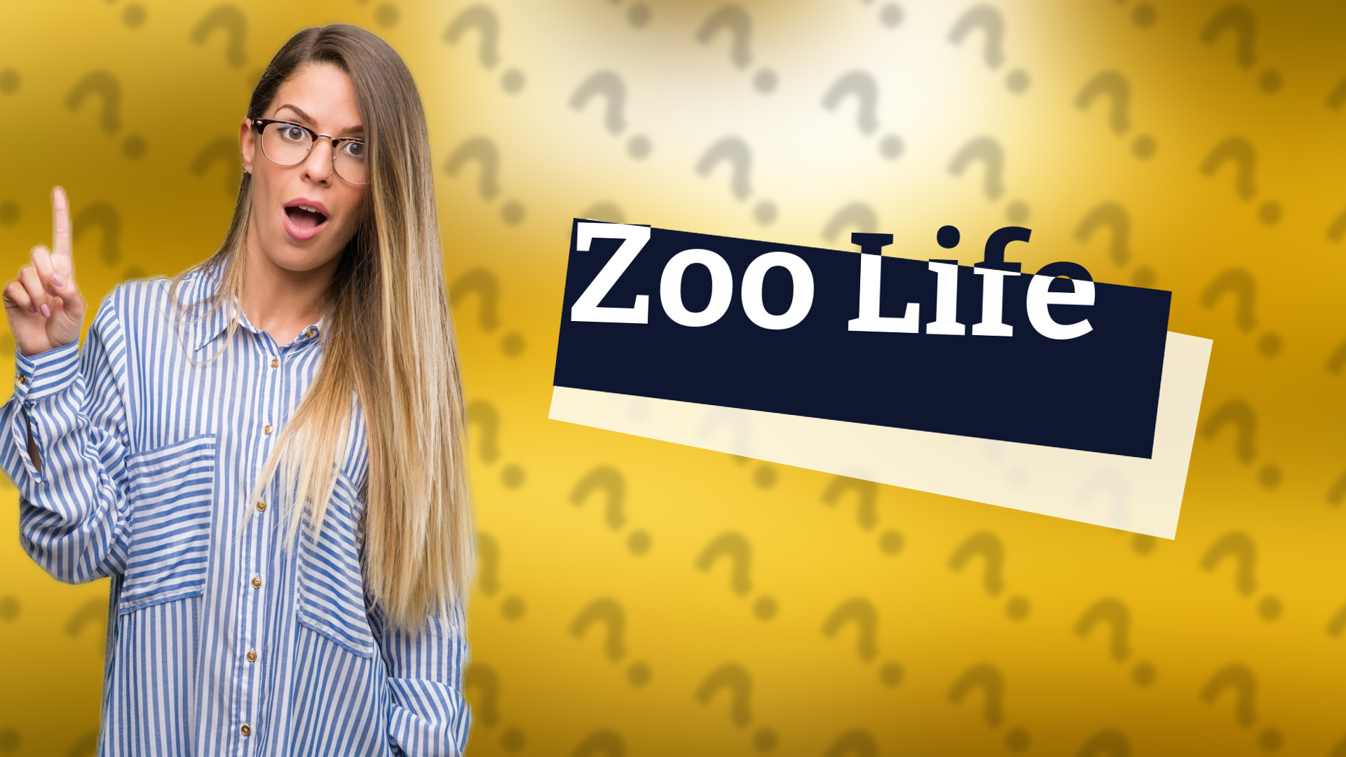 Zoo Life