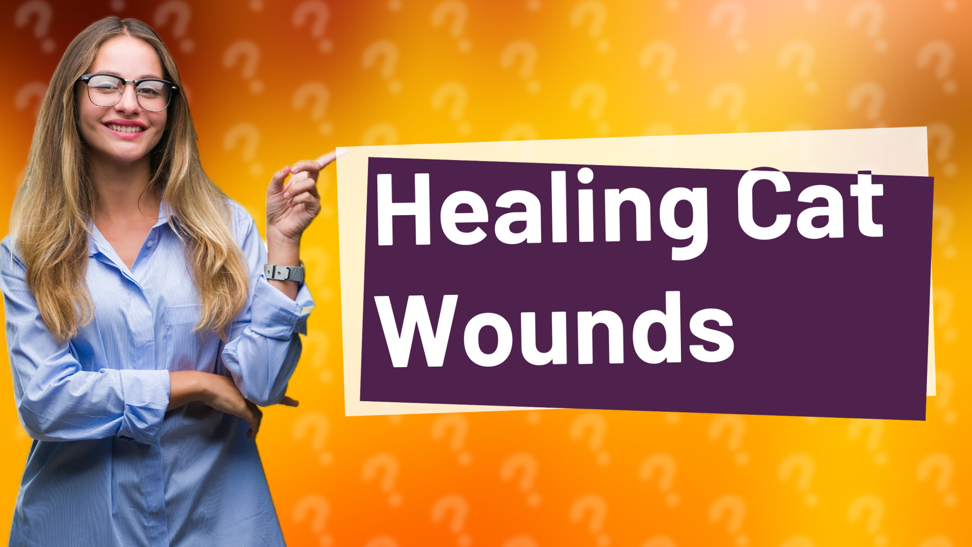 Healing Cat Wounds