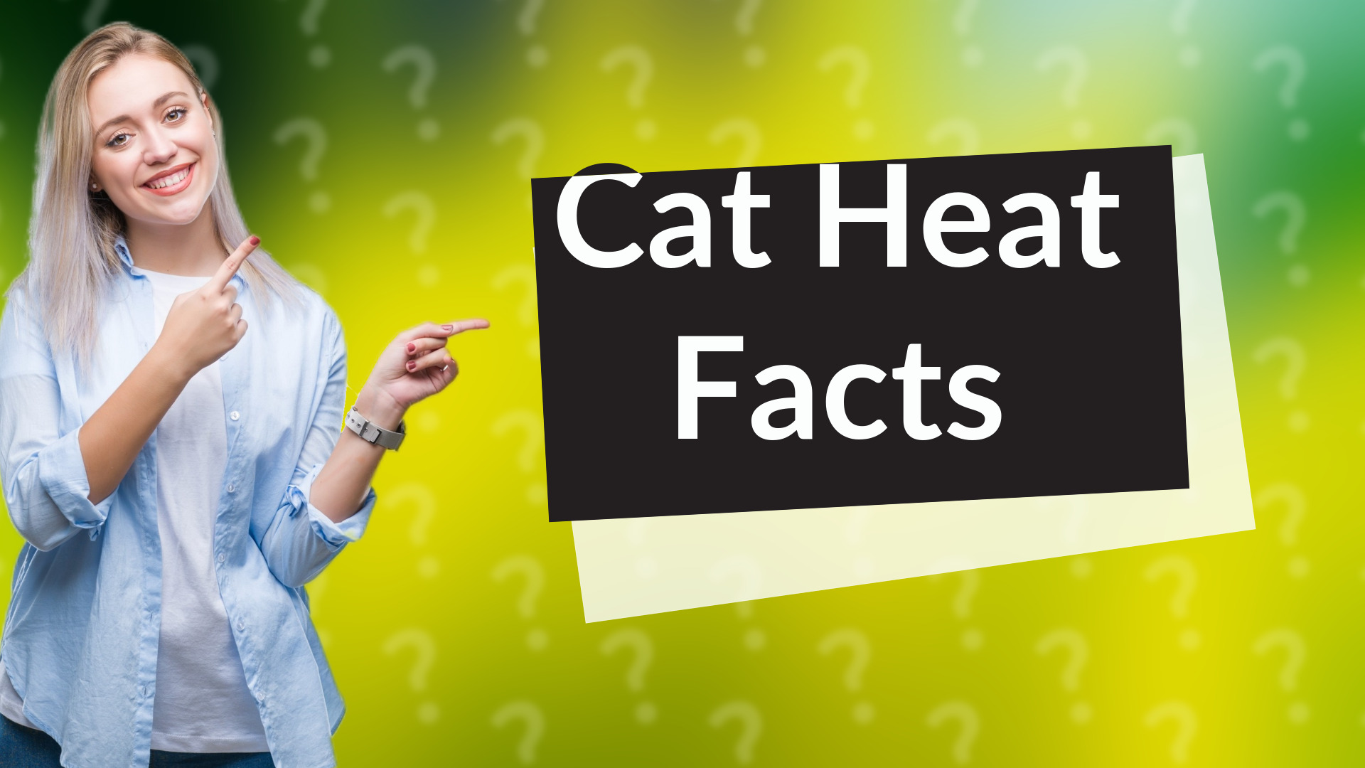 Cat Heat Facts