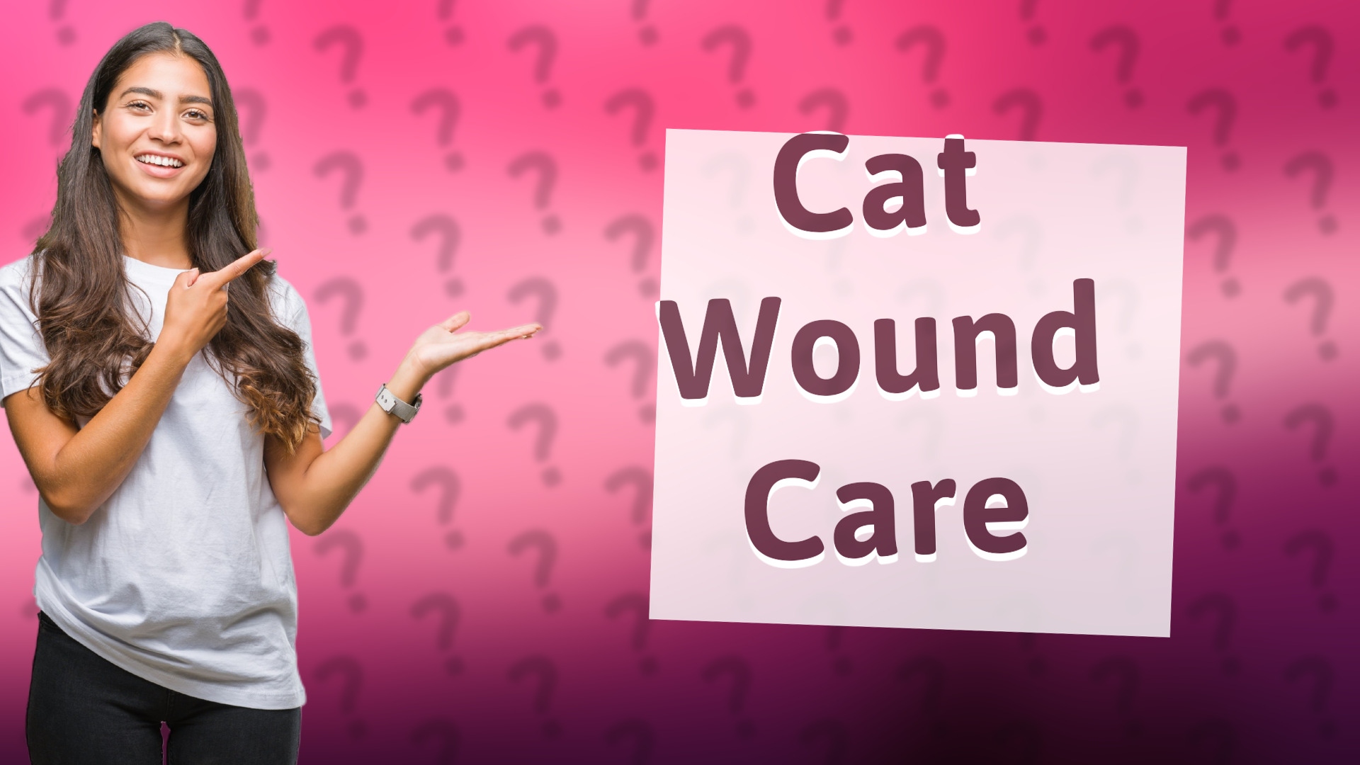 Cat Wound Care