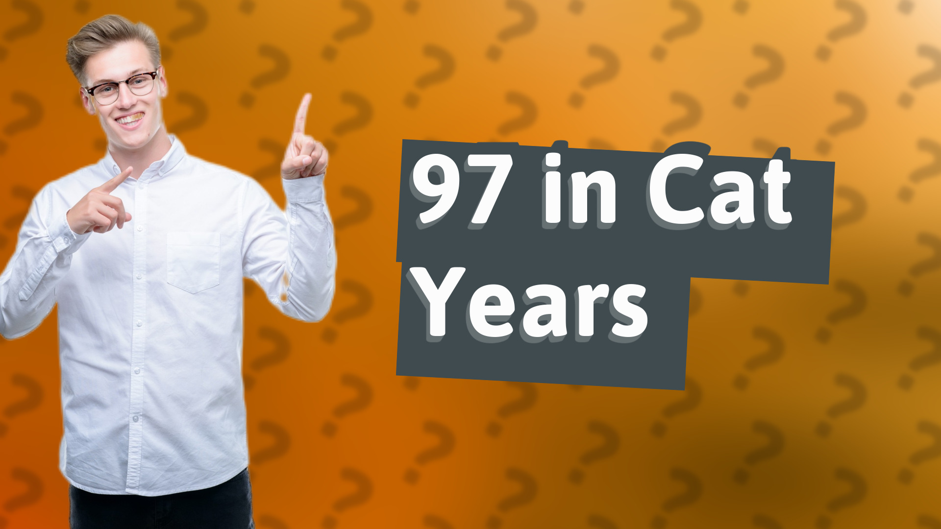 97 in Cat Years