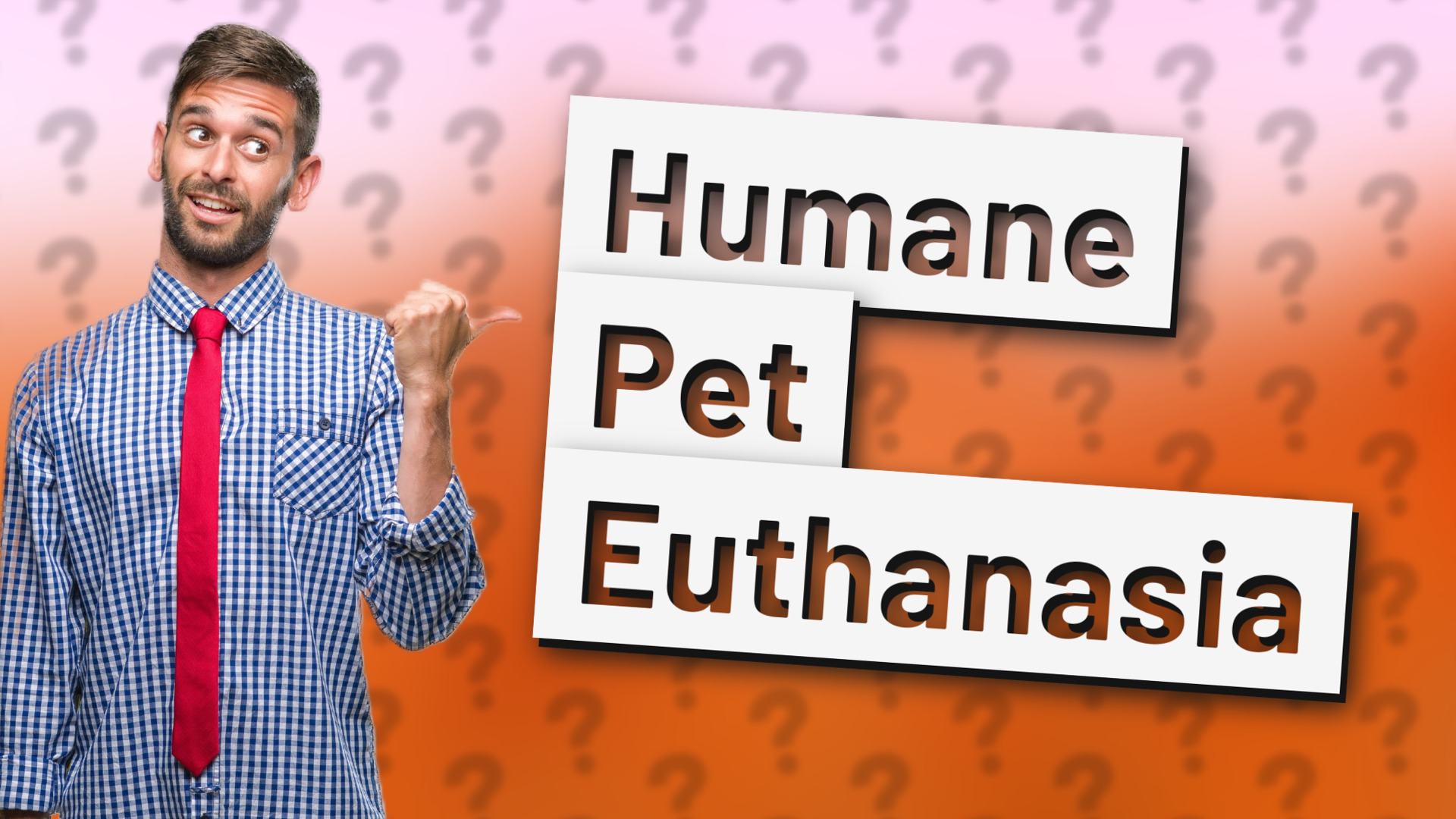 Humane Pet Euthanasia