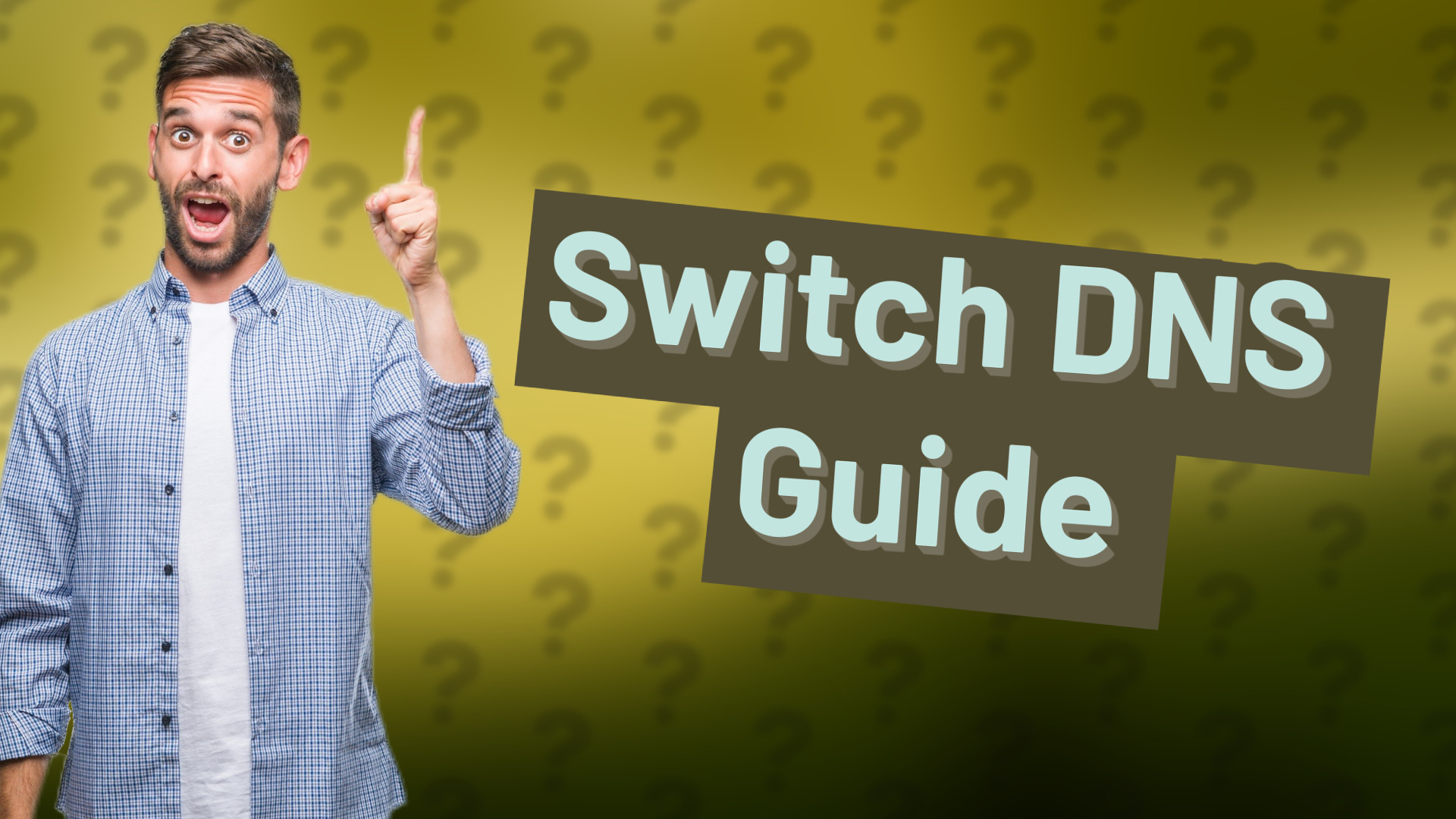 Switch DNS Guide