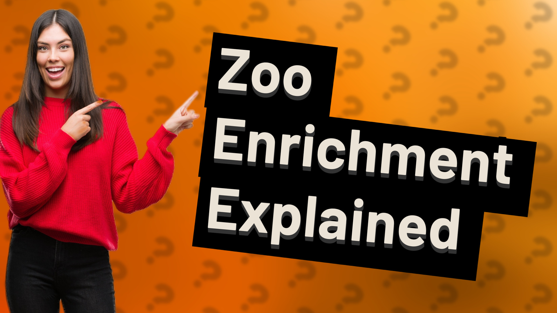 Zoo Enrichment Explained