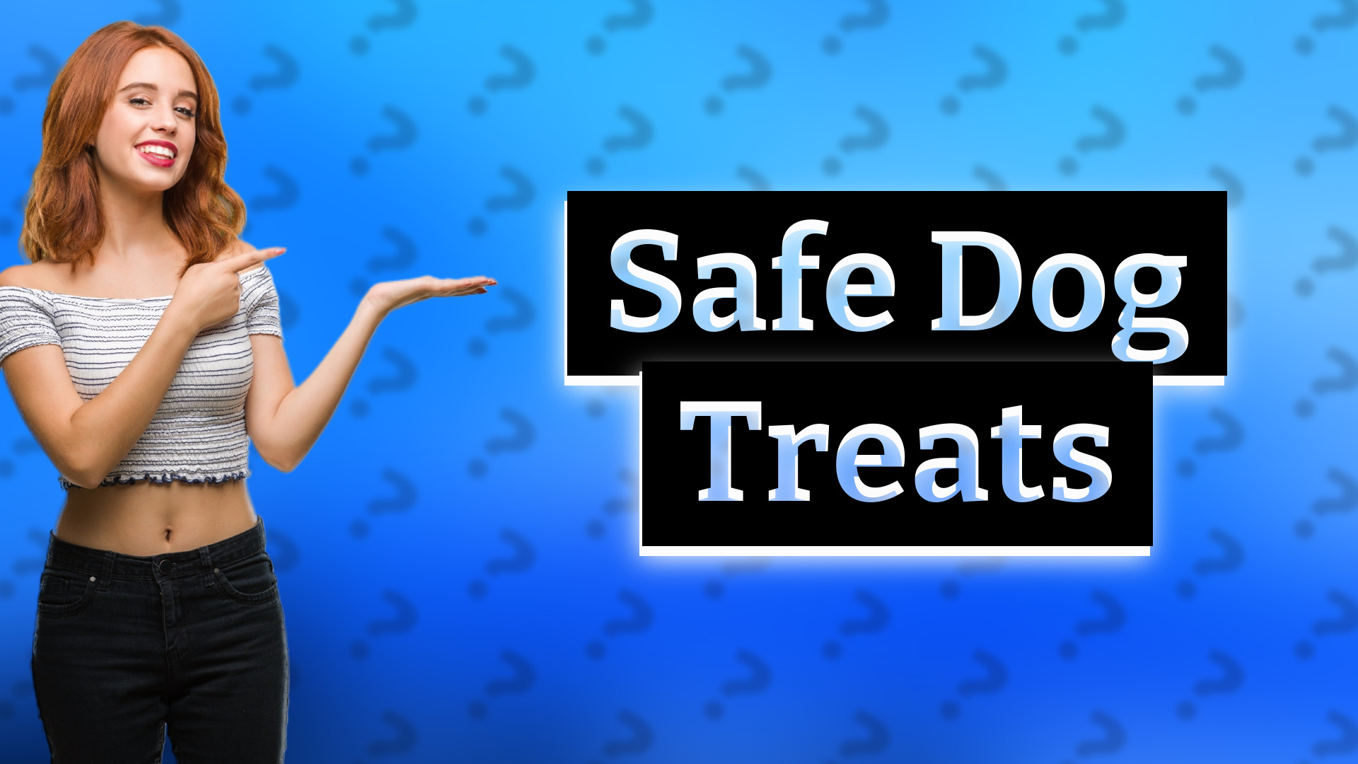 Safe Dog Treats