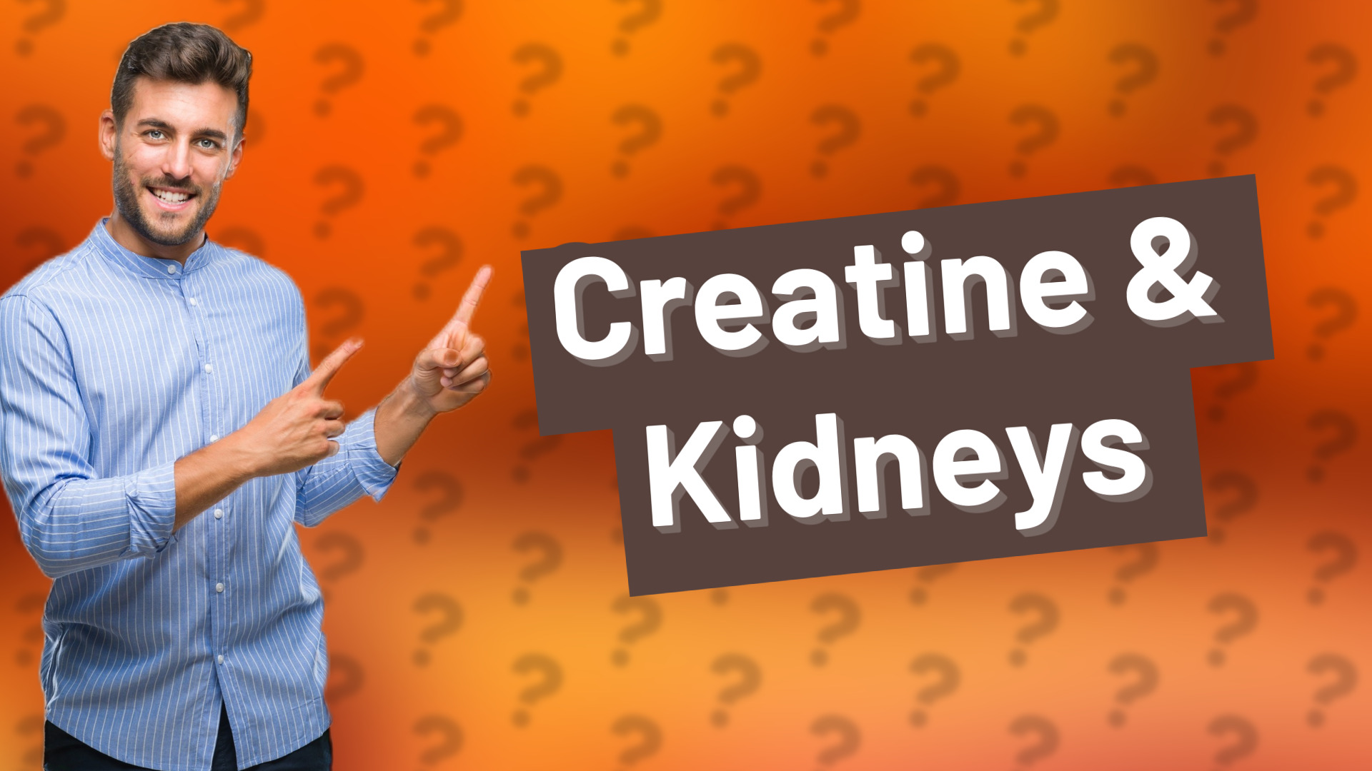 Creatine & Kidneys