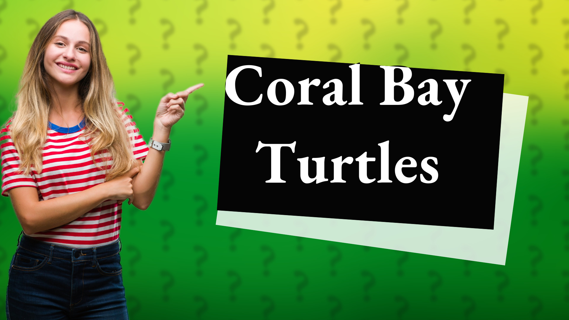 Coral Bay Turtles