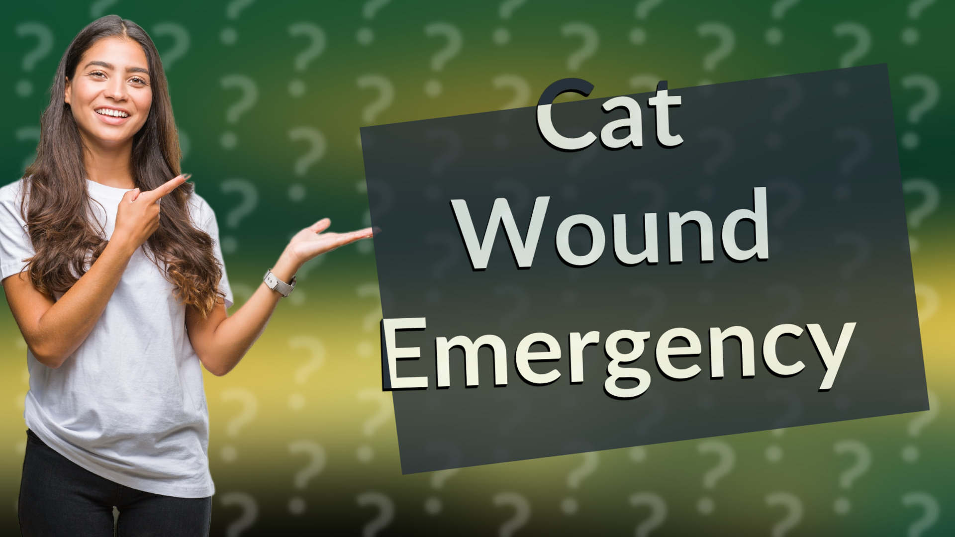 Cat Wound Emergency