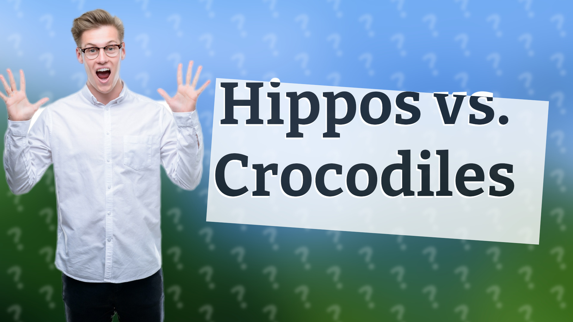 Hippos vs. Crocodiles