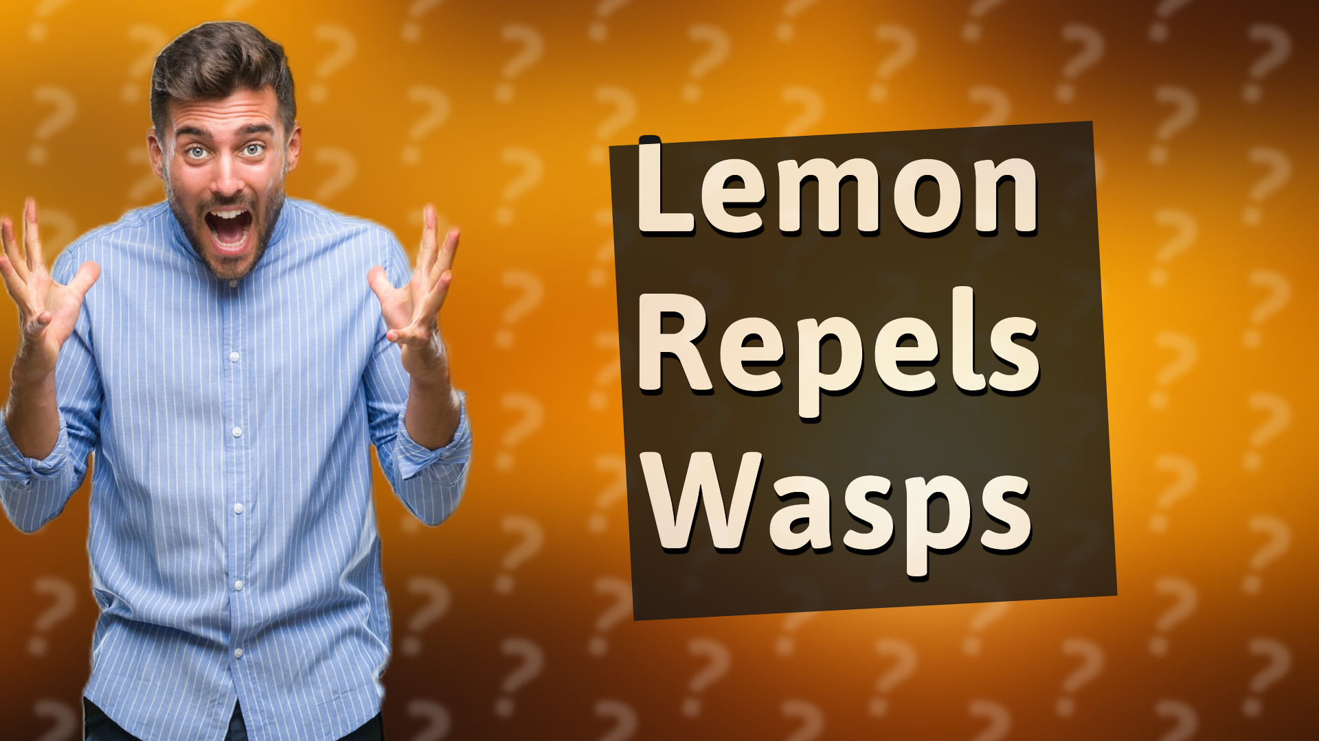Lemon Repels Wasps