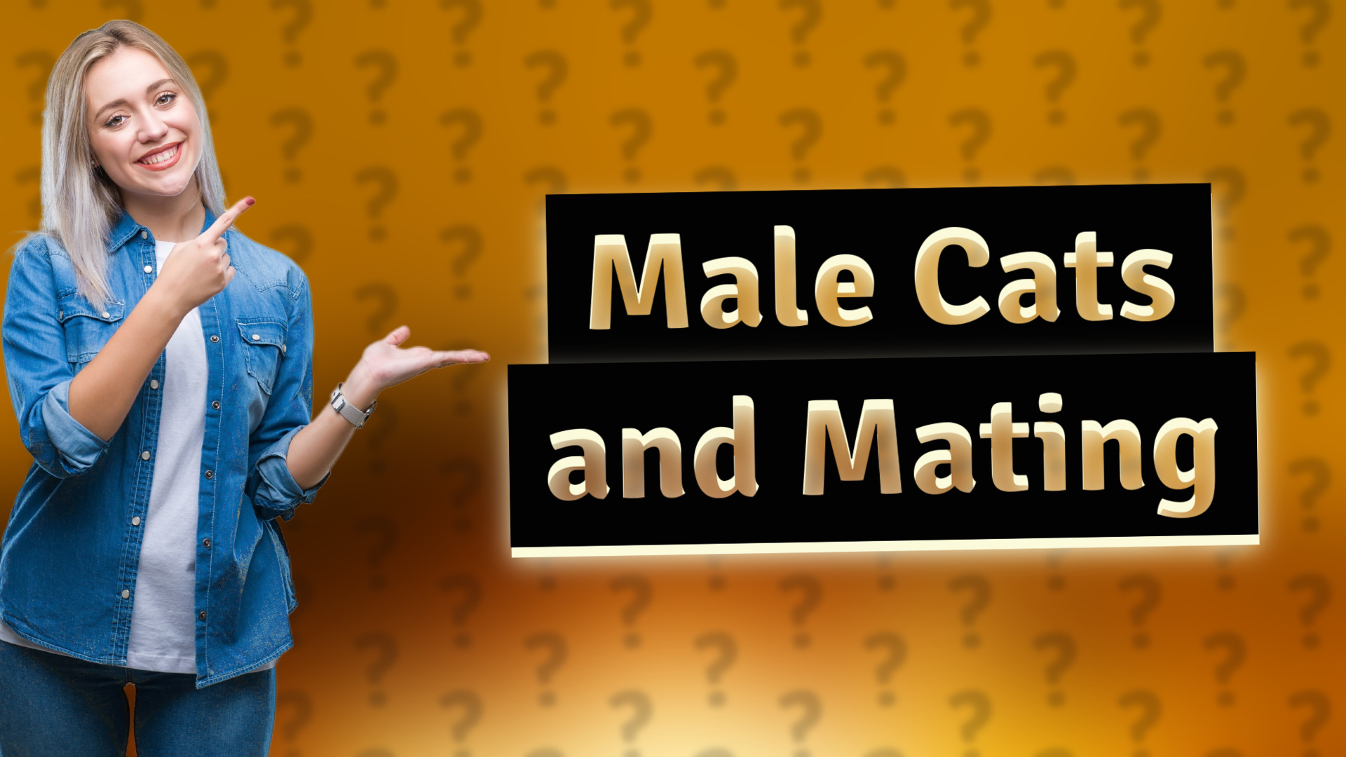 Male Cats and Mating