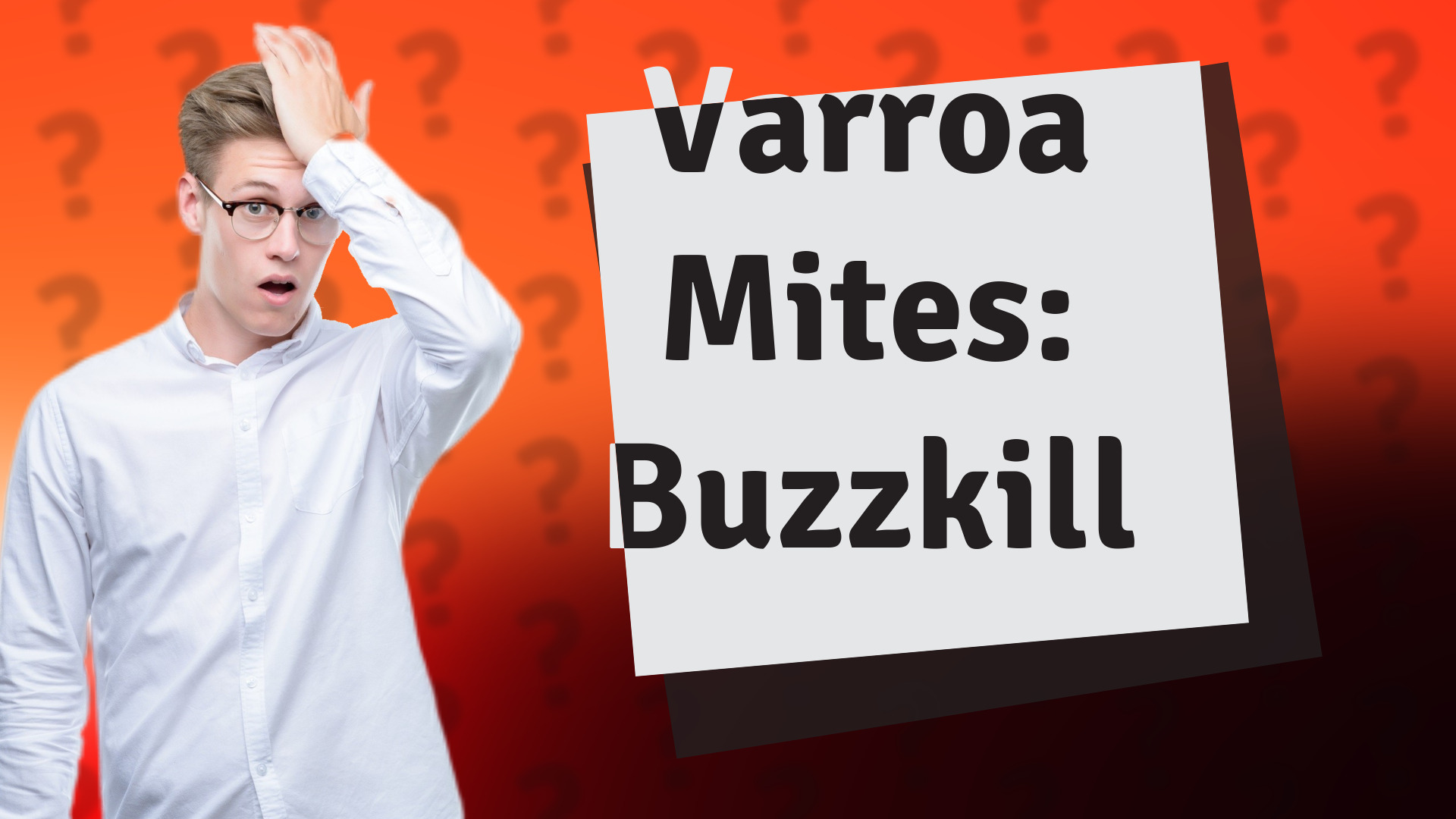 Varroa Mites: Buzzkill