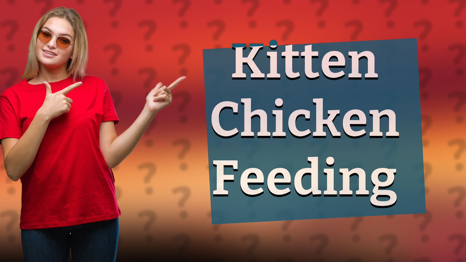 Kitten Chicken Feeding