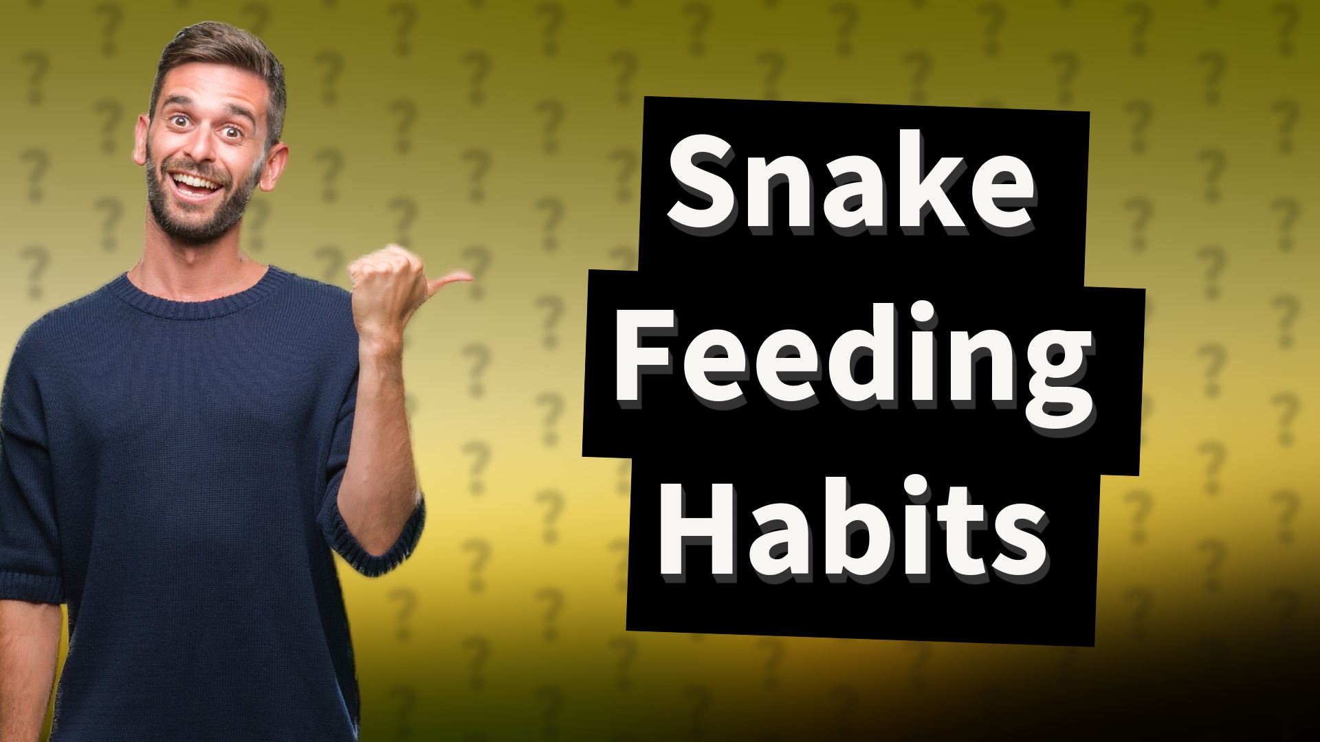 Snake Feeding Habits