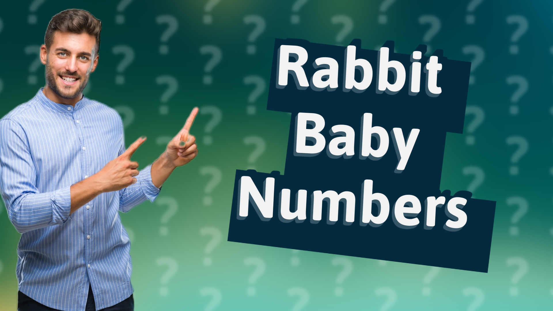 Rabbit Baby Numbers