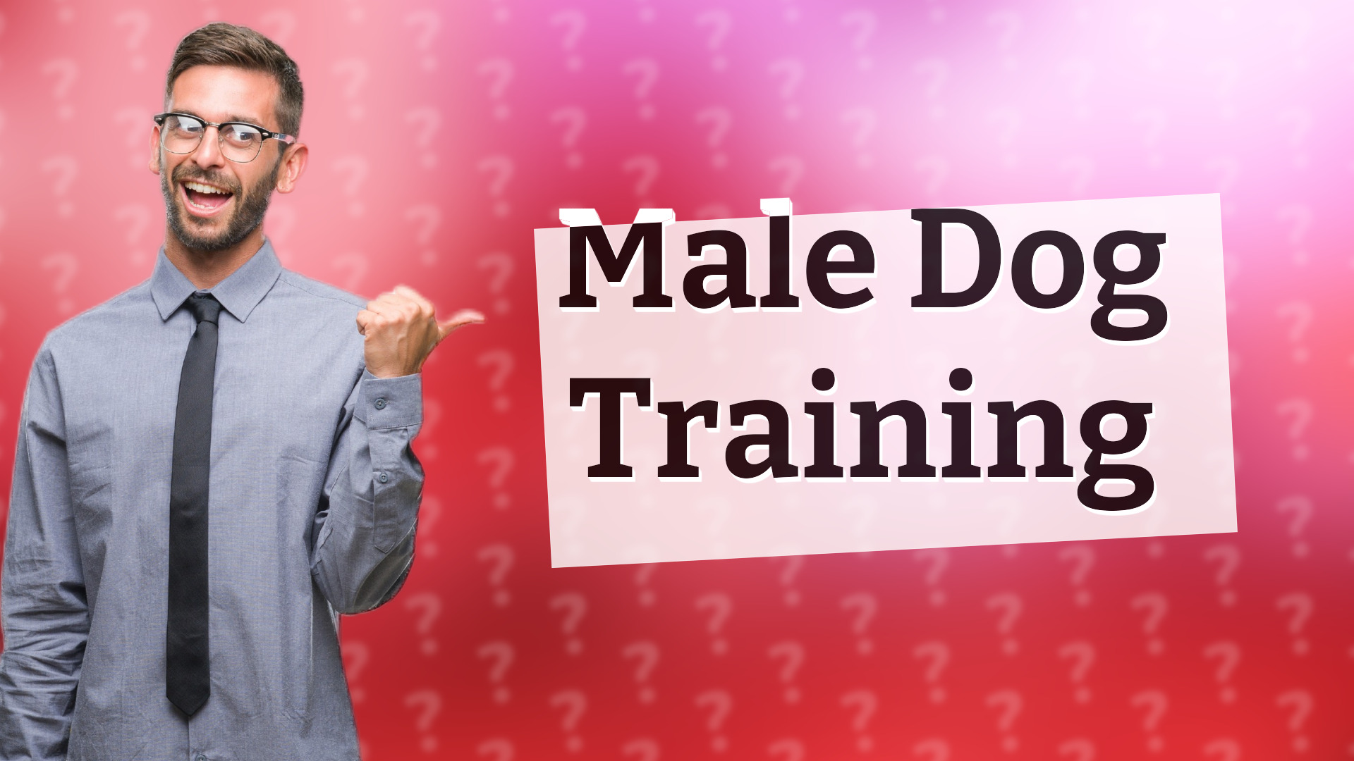Male Dog Training