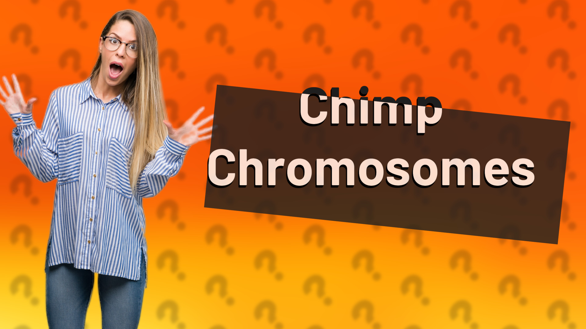 Chimp Chromosomes