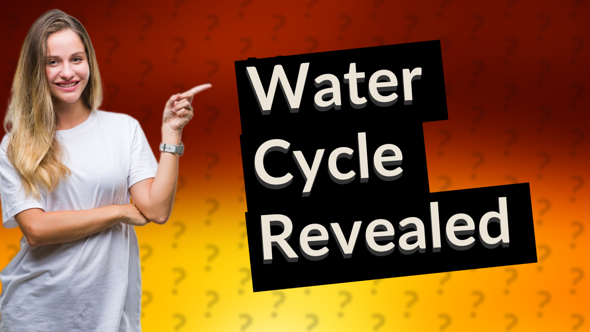Water Cycle Revealed
