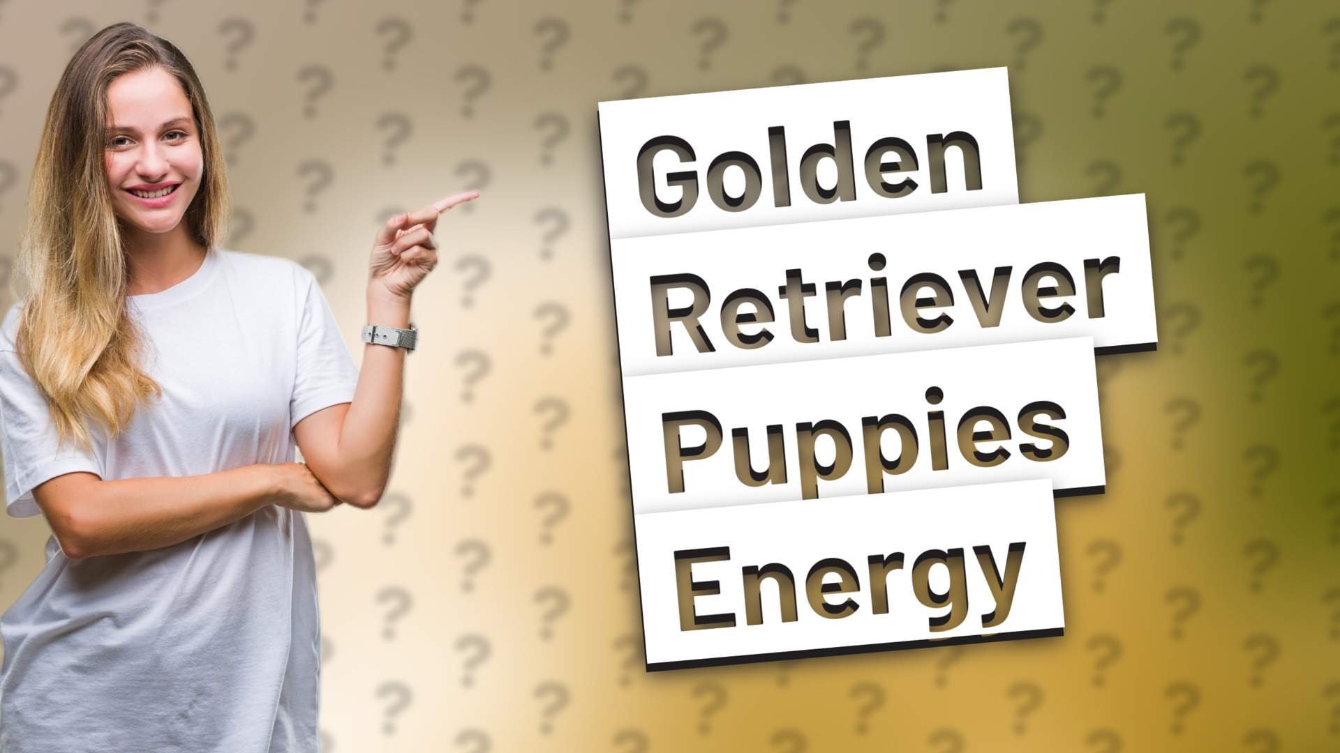 Golden Retriever Puppies Energy