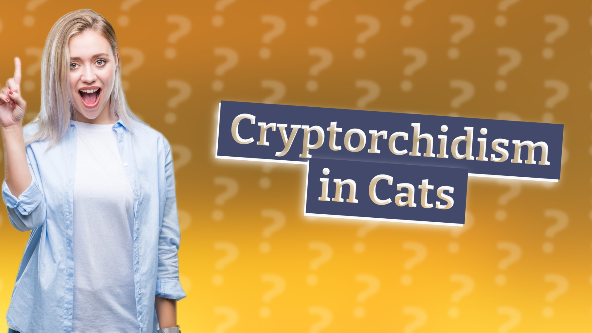 Cryptorchidism in Cats