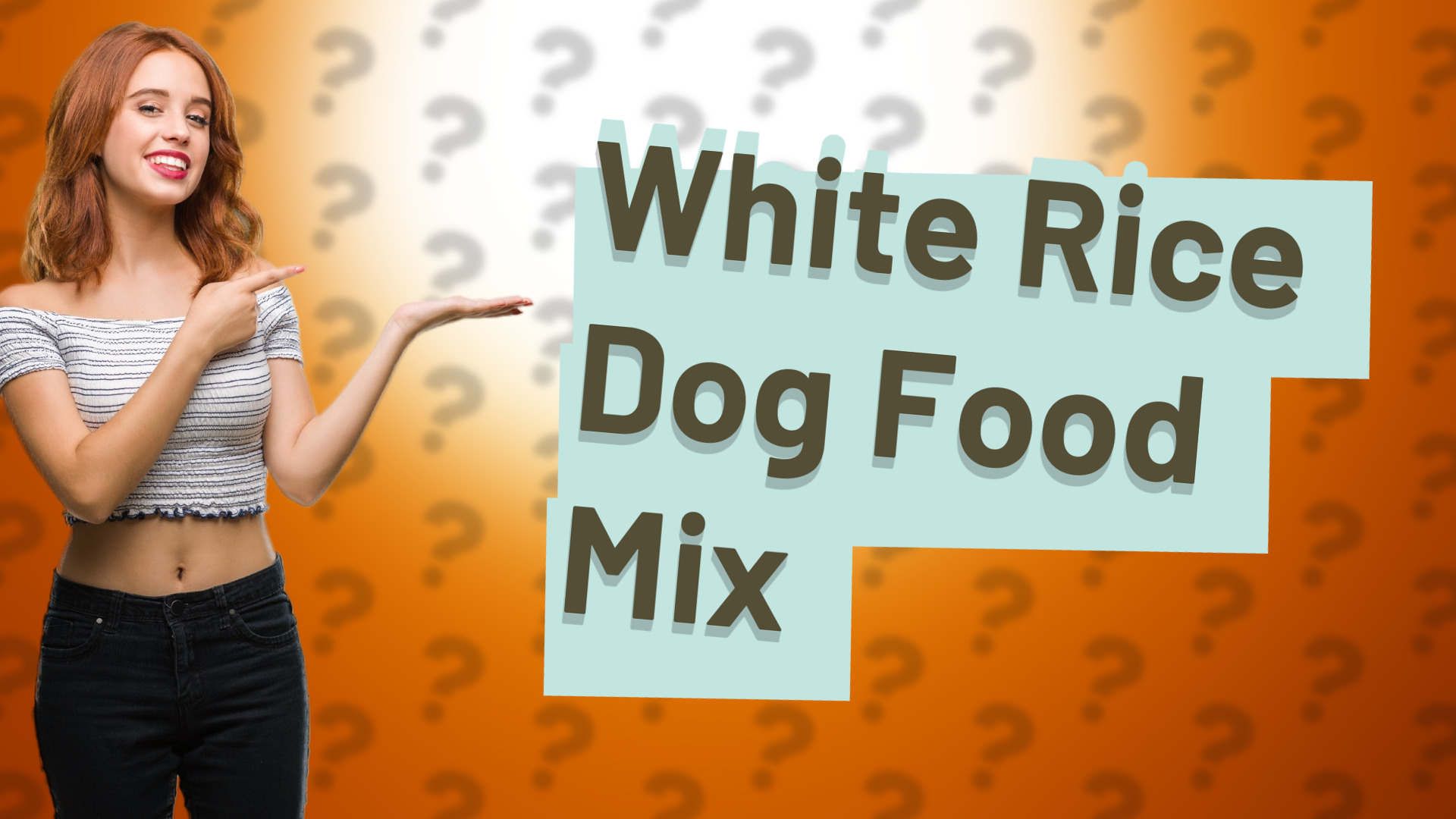 White Rice Dog Food Mix