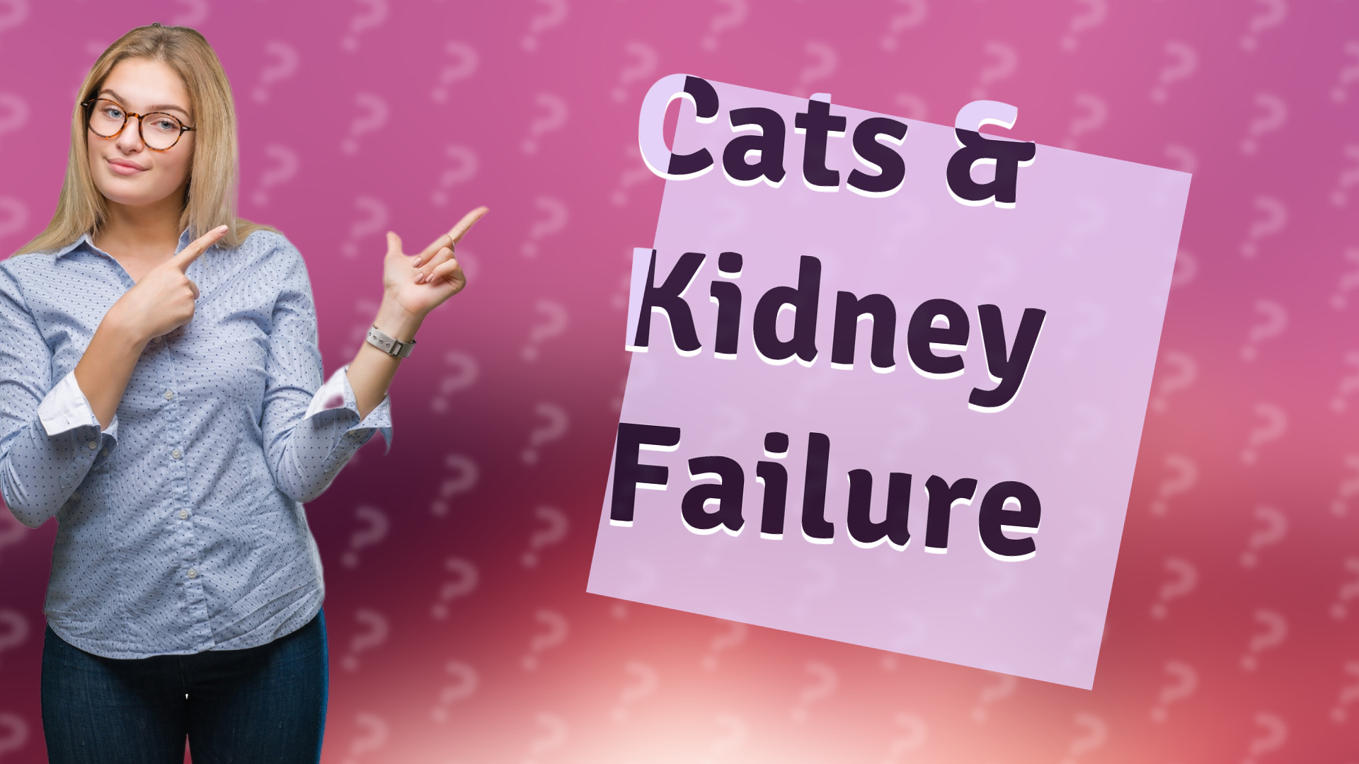 Cats & Kidney Failure