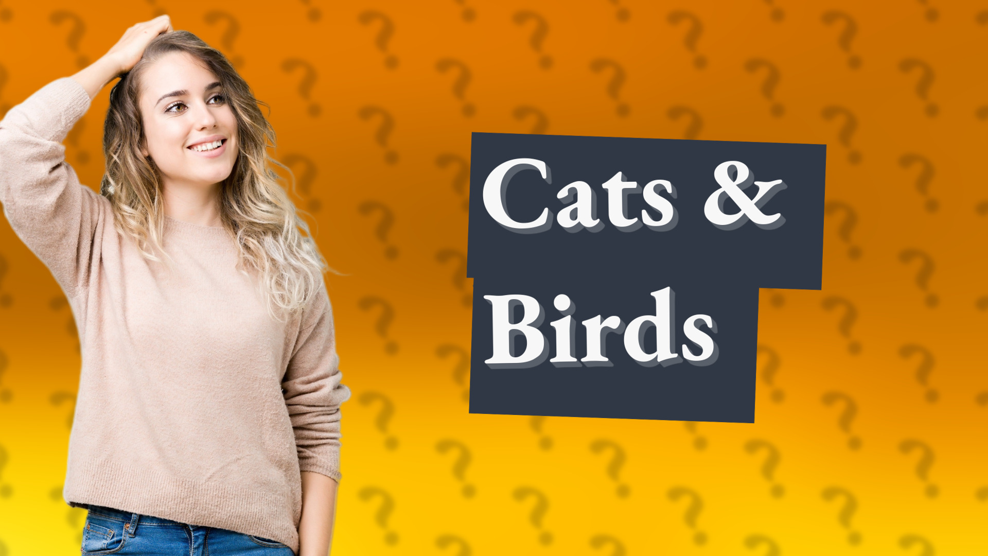 Cats & Birds